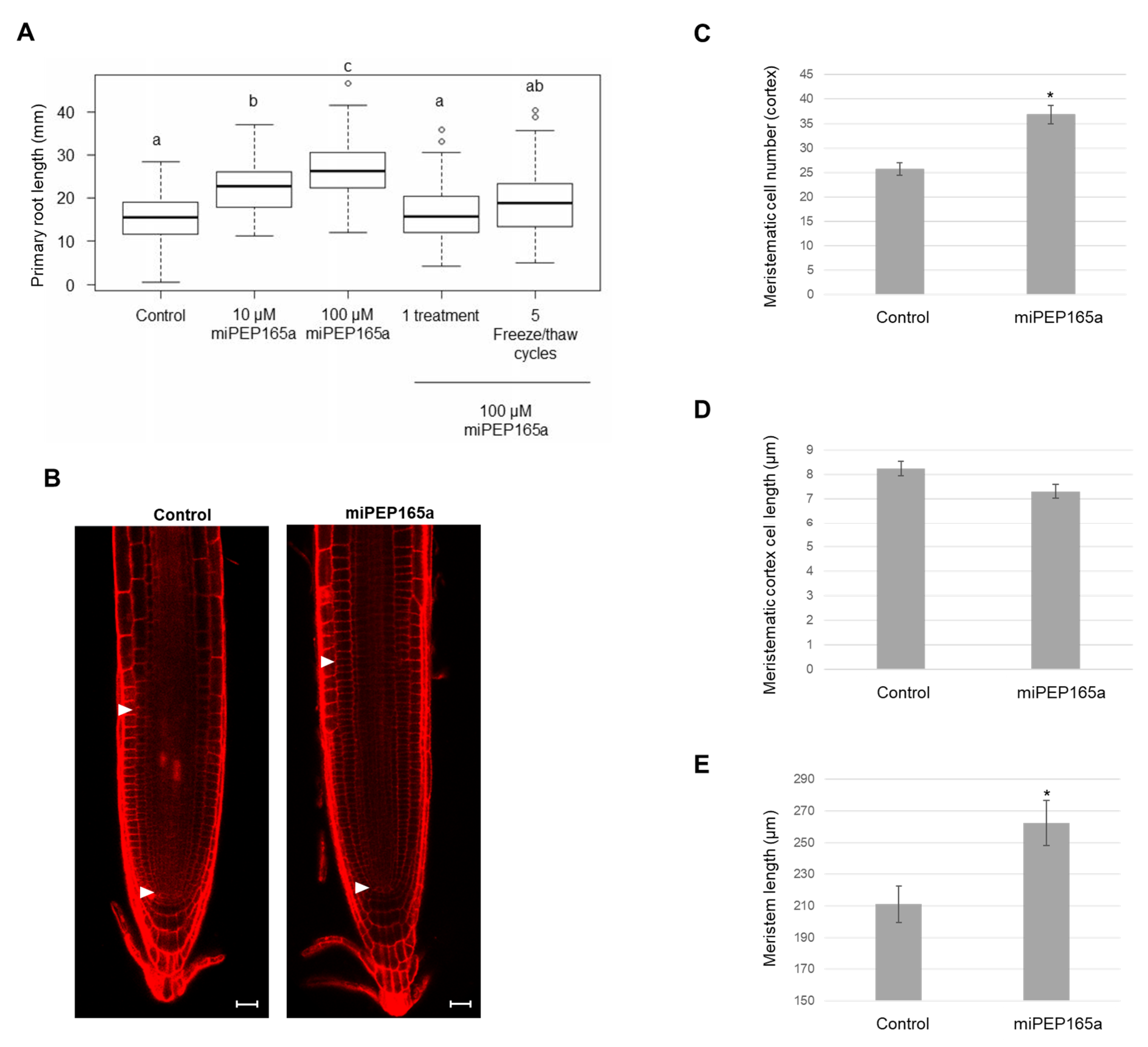 Ijms 21 02266 g001 Ijms 21 02266 g001