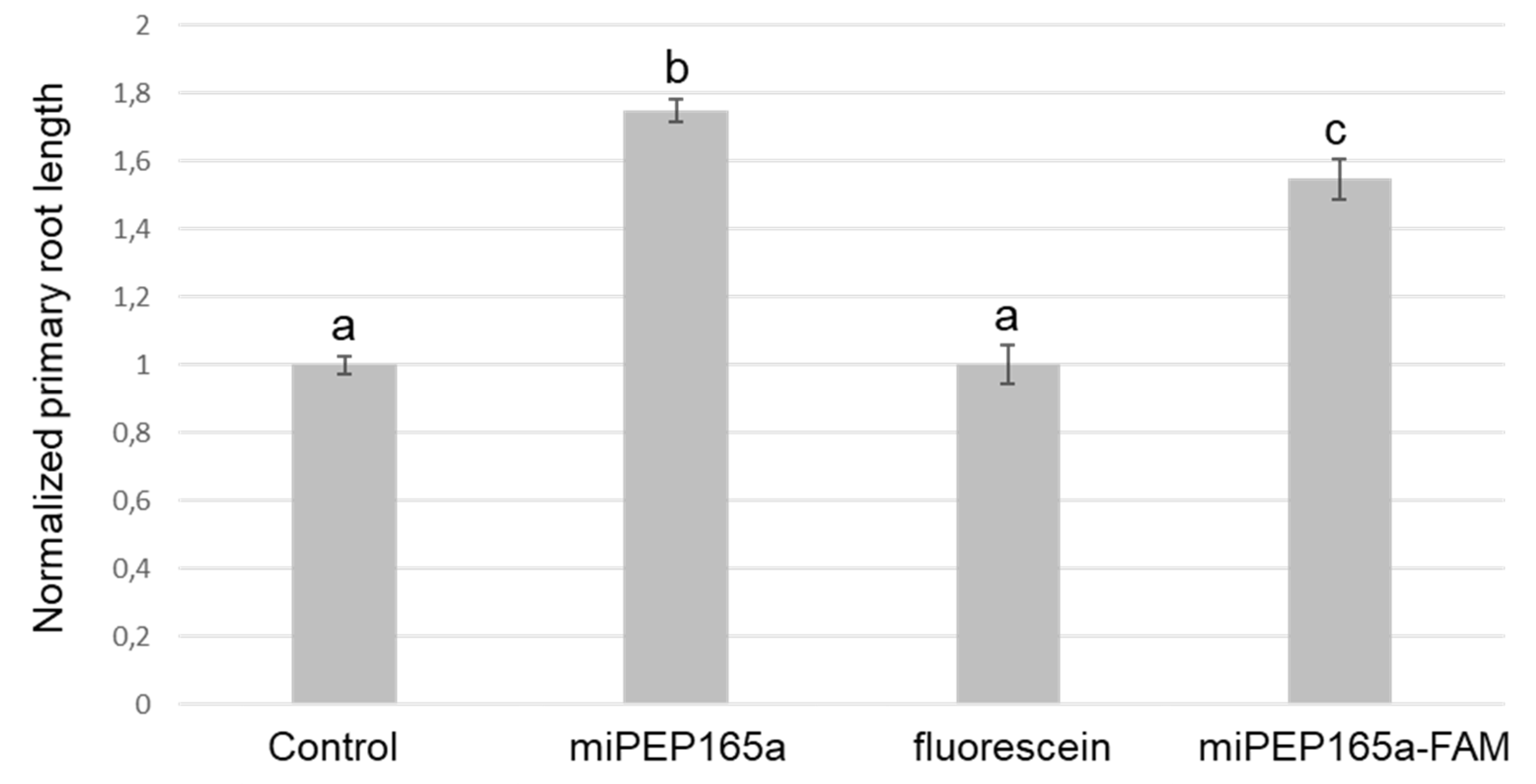 Ijms 21 02266 g003 Ijms 21 02266 g003