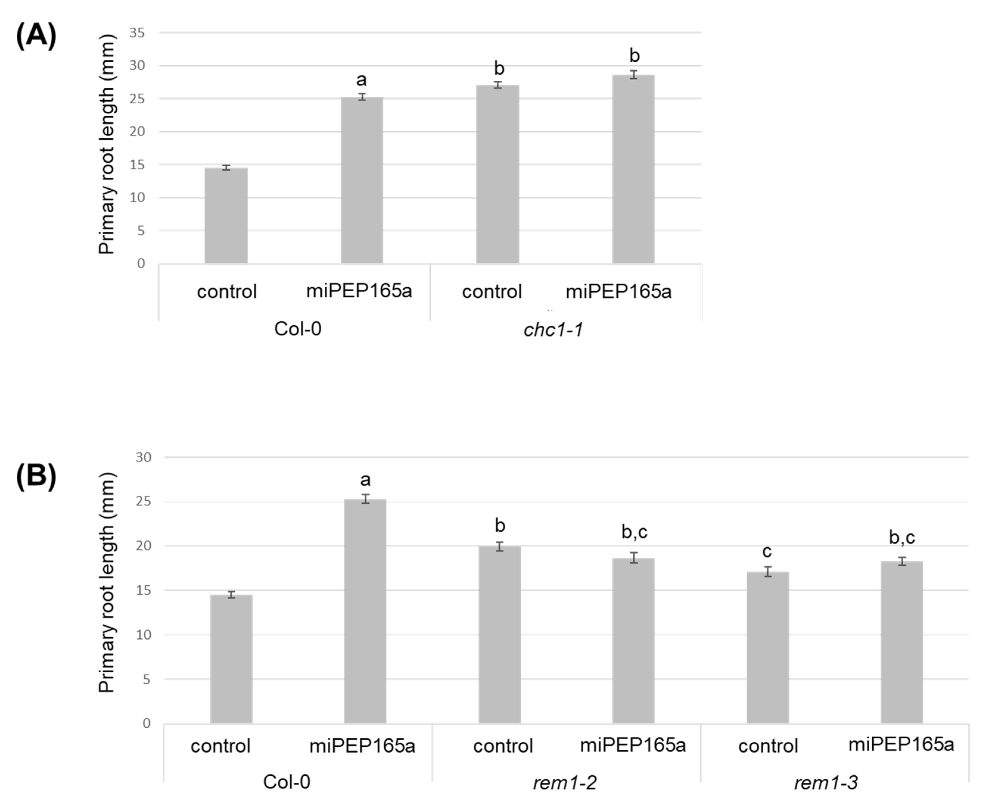 Ijms 21 02266 g006 Ijms 21 02266 g006