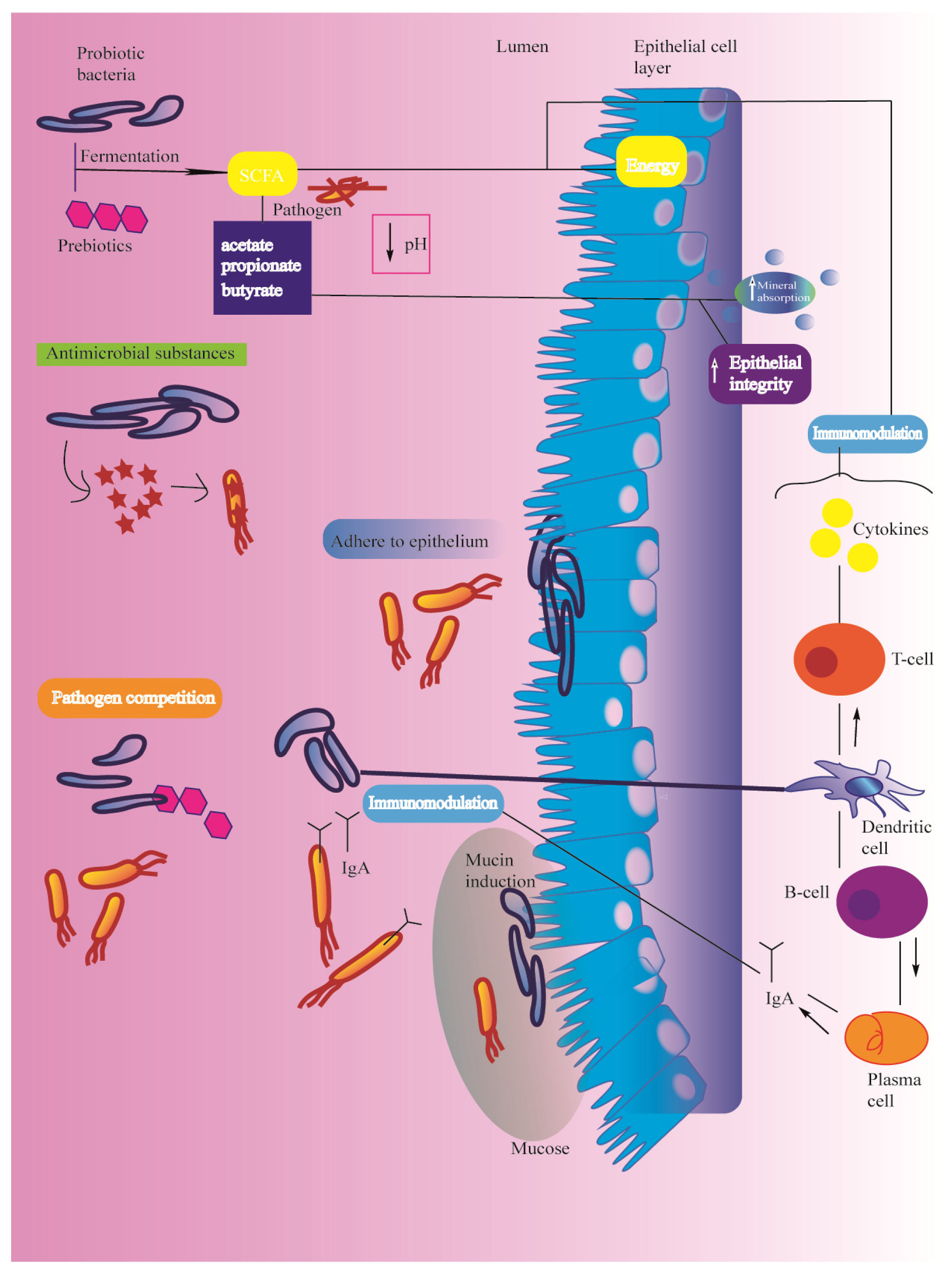 Ijms 21 02285 g002 Ijms 21 02285 g002