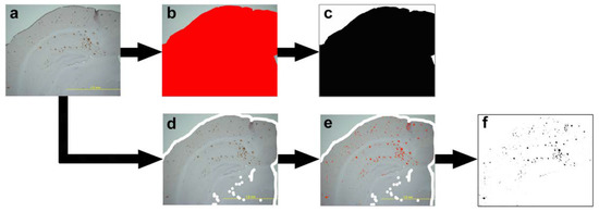 Ijms 21 02295 sch0a1