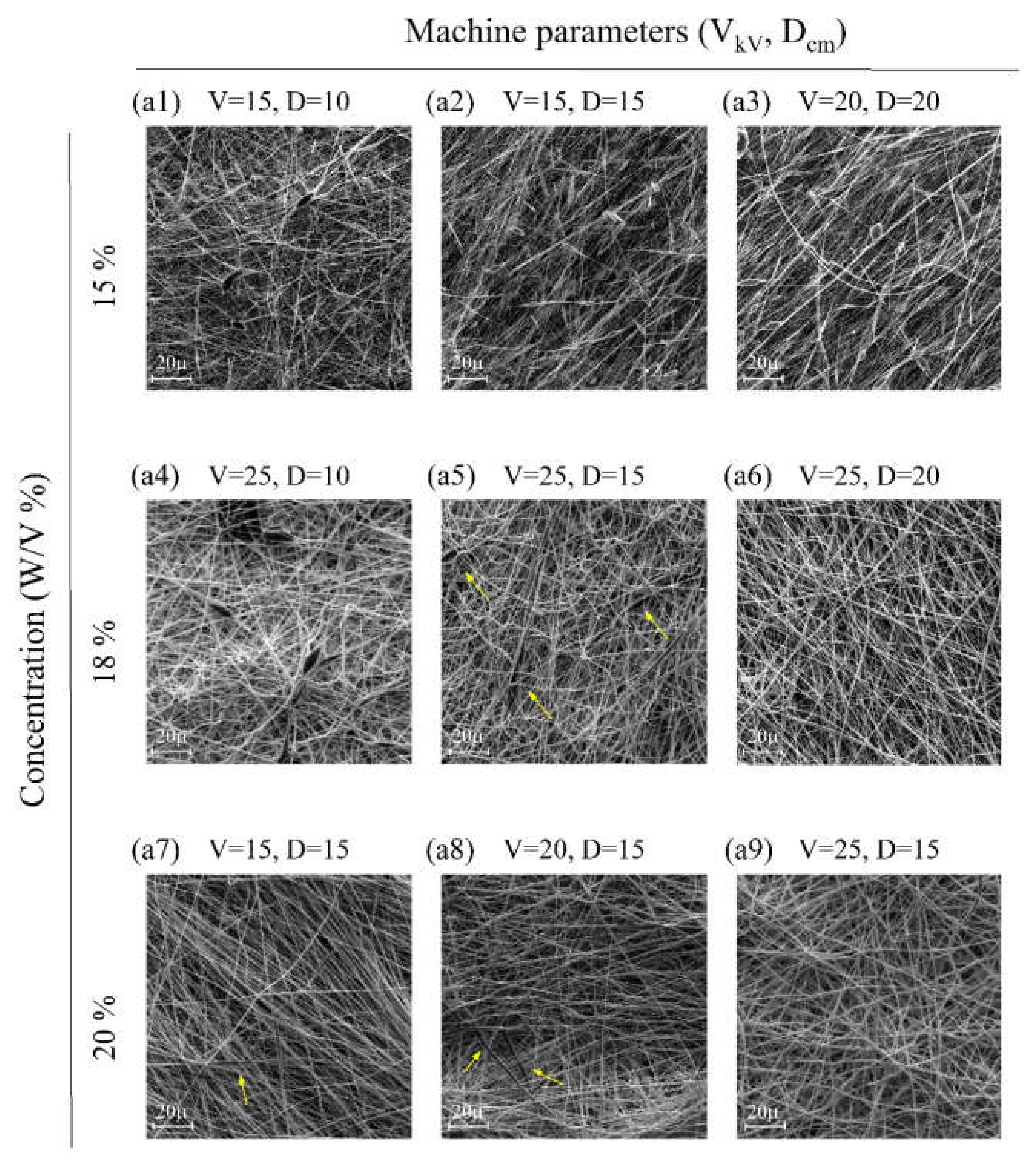 Ijms 21 02311 g001 Ijms 21 02311 g001