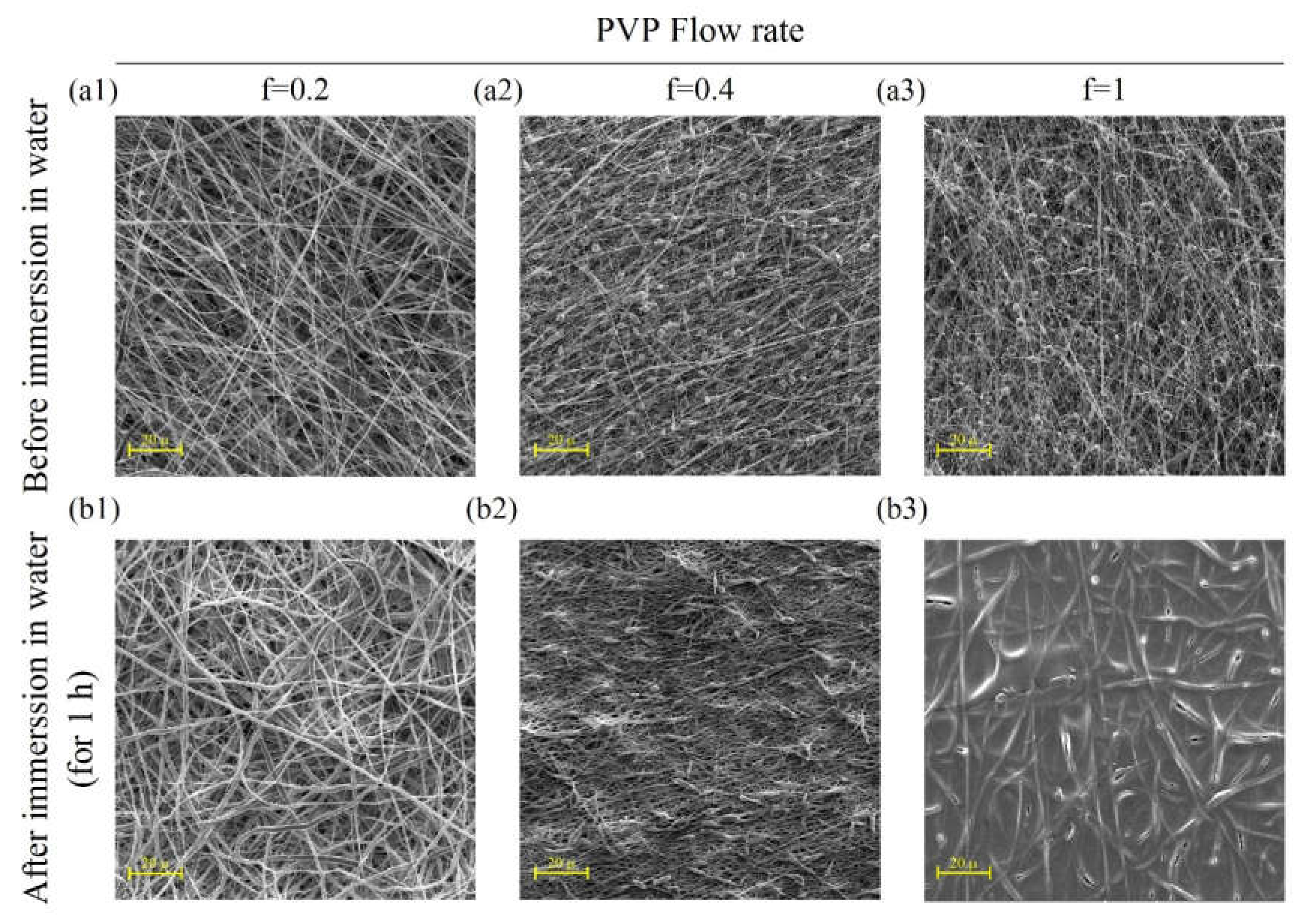 Ijms 21 02311 g002 Ijms 21 02311 g002