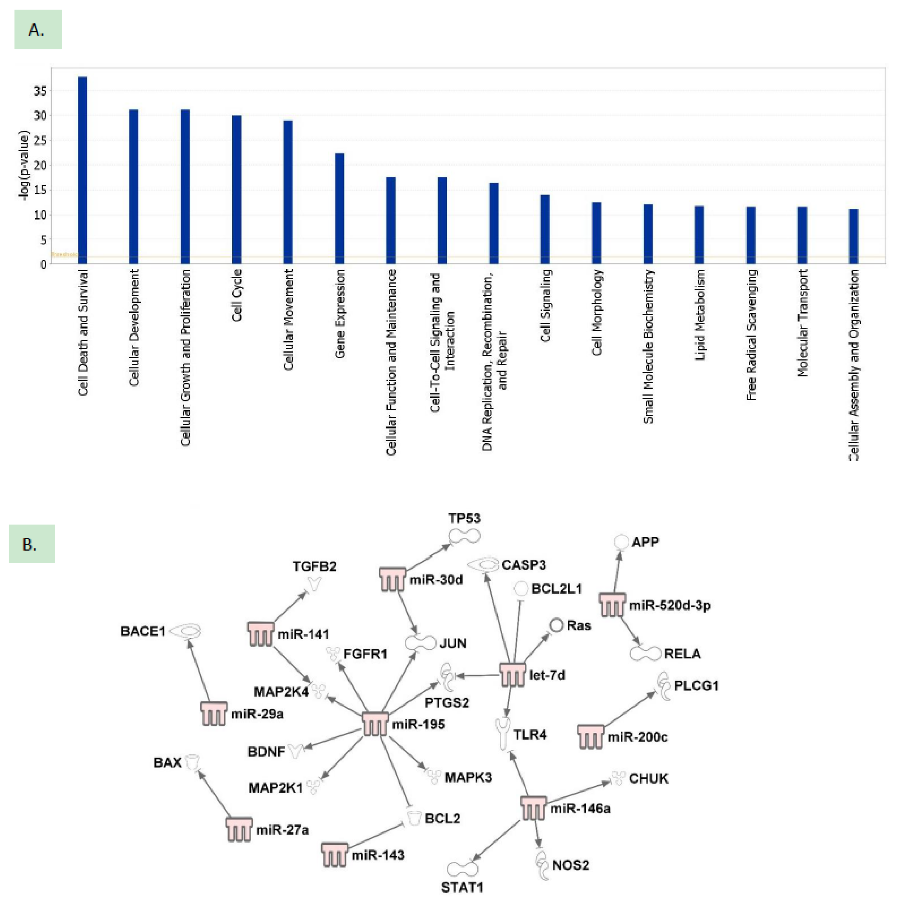 Ijms 21 02312 g005 Ijms 21 02312 g005