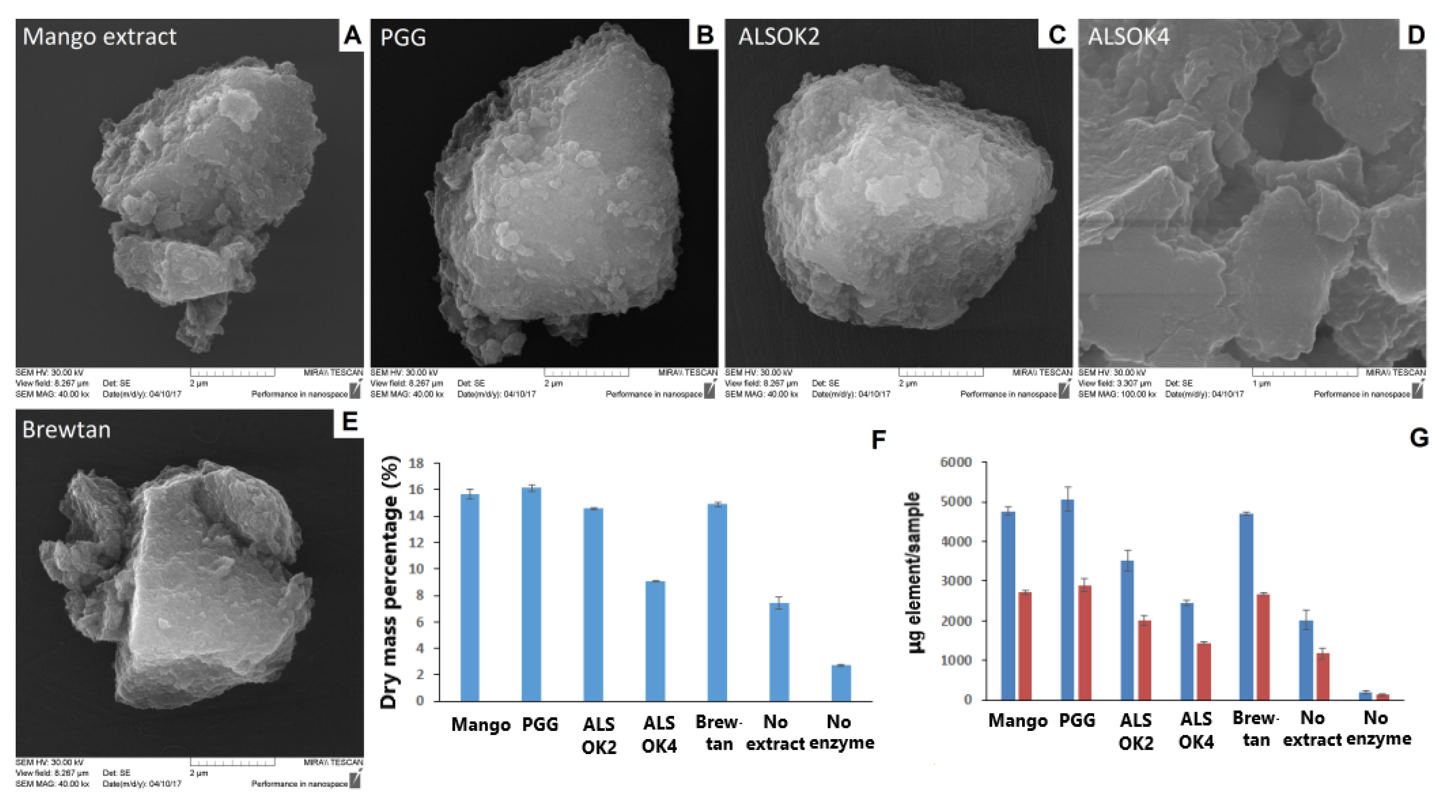 Ijms 21 02315 g001 Ijms 21 02315 g001