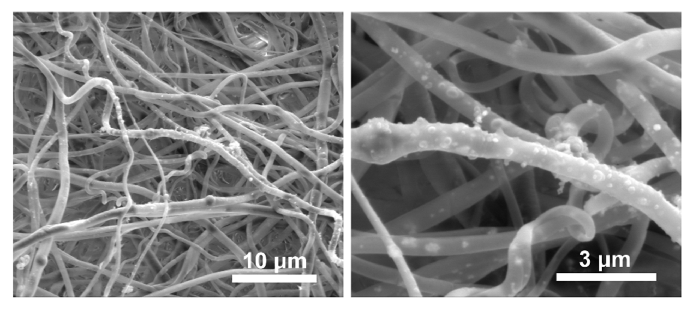 Ijms 21 02330 g005 Ijms 21 02330 g005