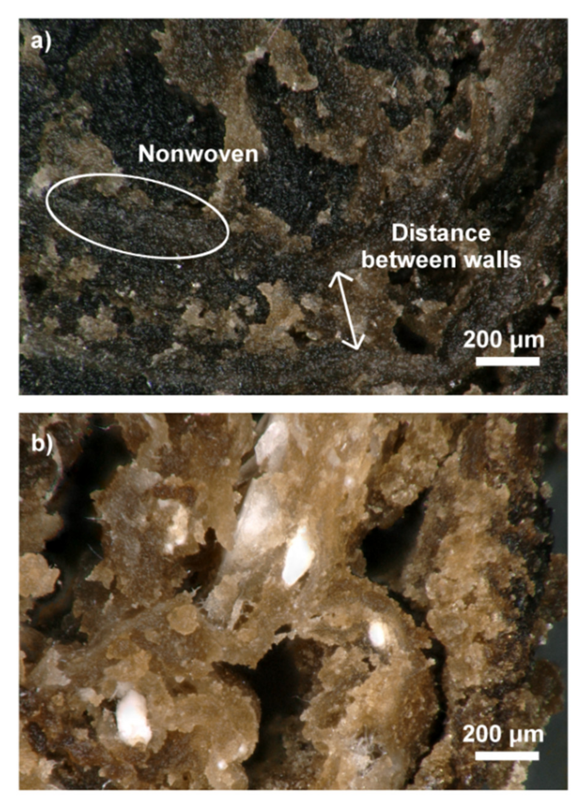 Ijms 21 02330 g007 Ijms 21 02330 g007