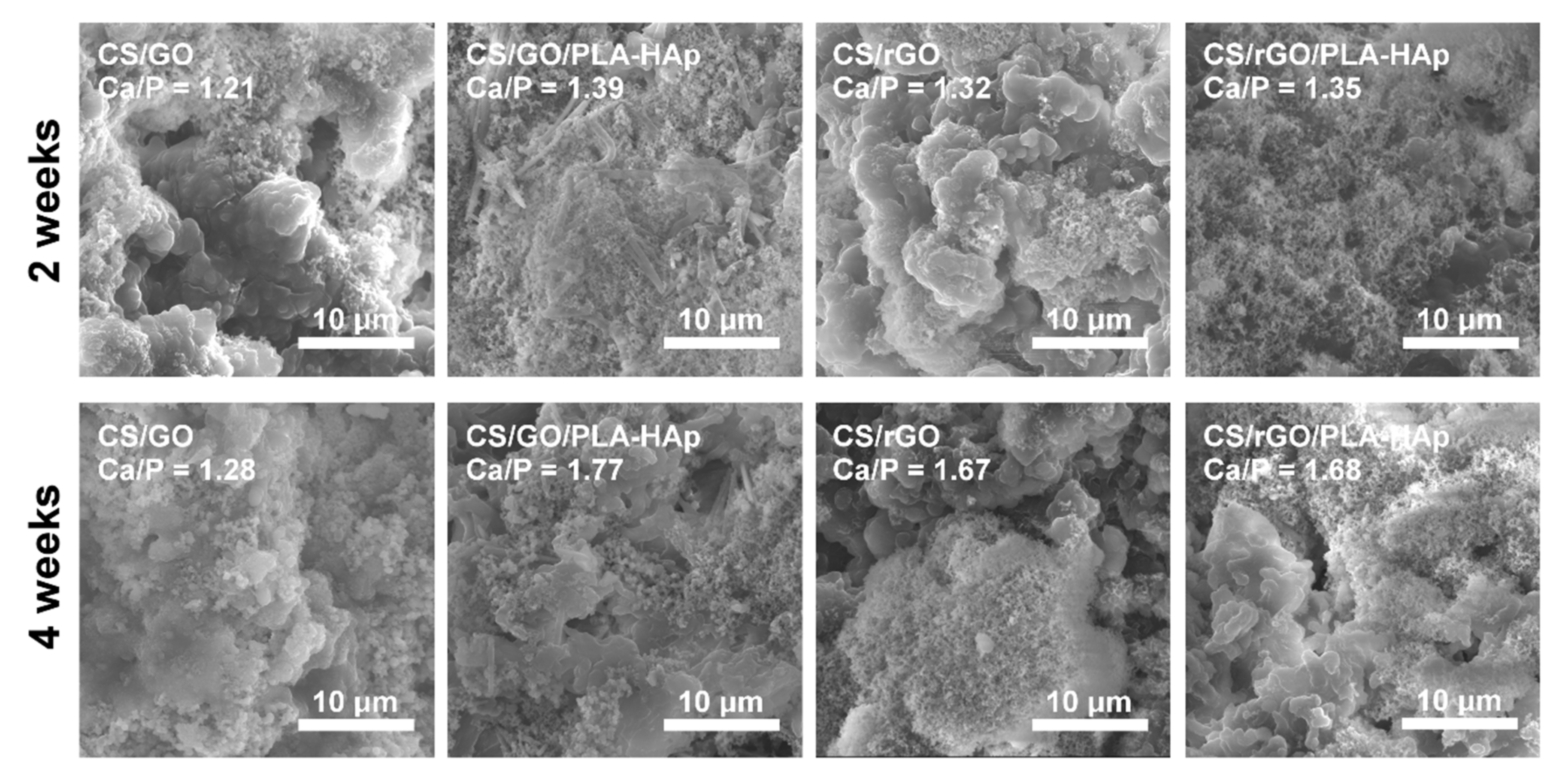 Ijms 21 02330 g010 Ijms 21 02330 g010