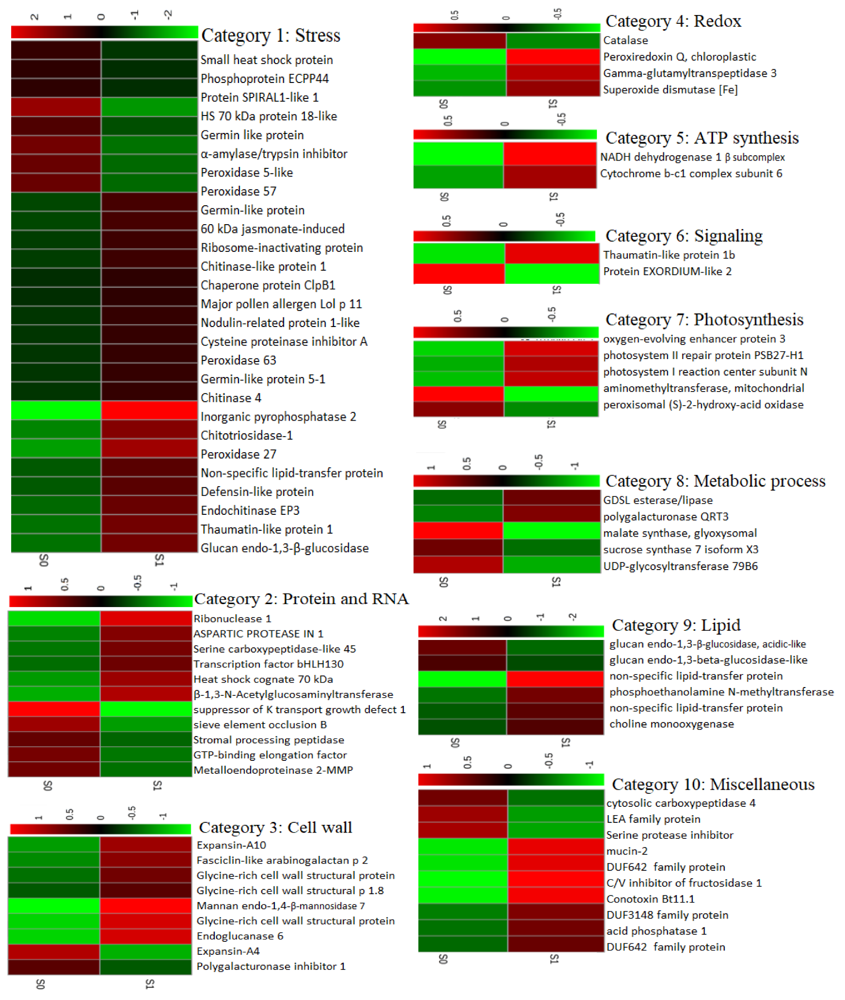 Ijms 21 02331 g008 Ijms 21 02331 g008