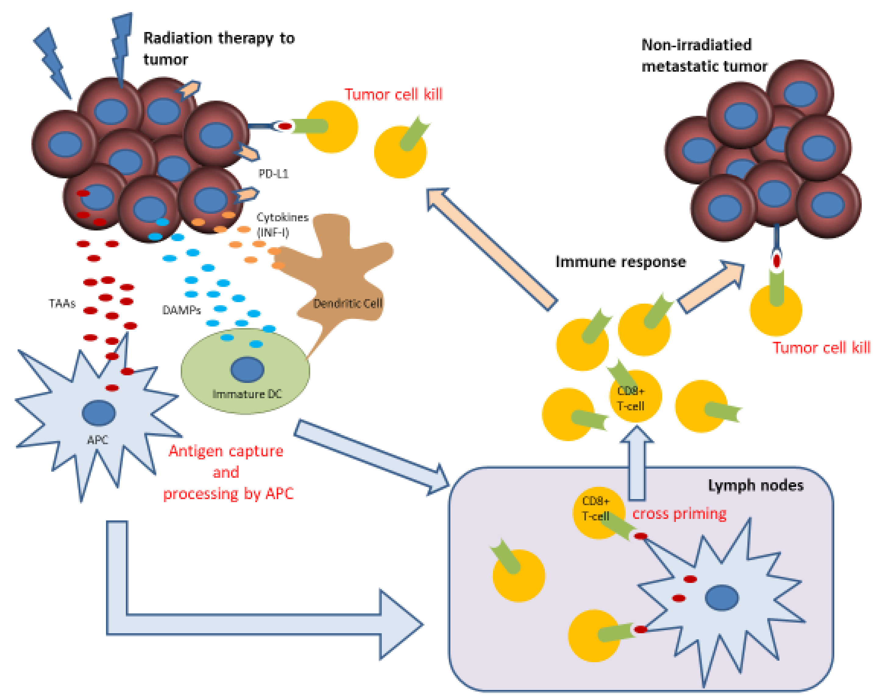 Ijms 21 02335 g001 Ijms 21 02335 g001