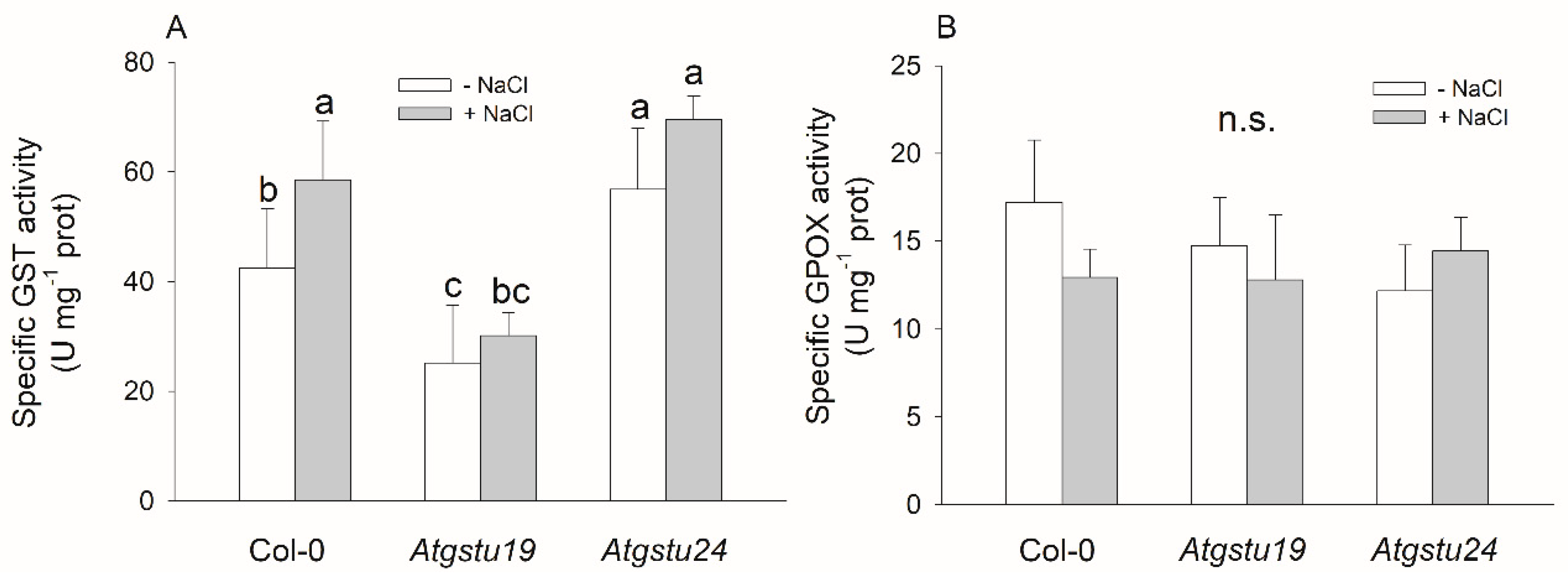 Ijms 21 02349 g001 Ijms 21 02349 g001