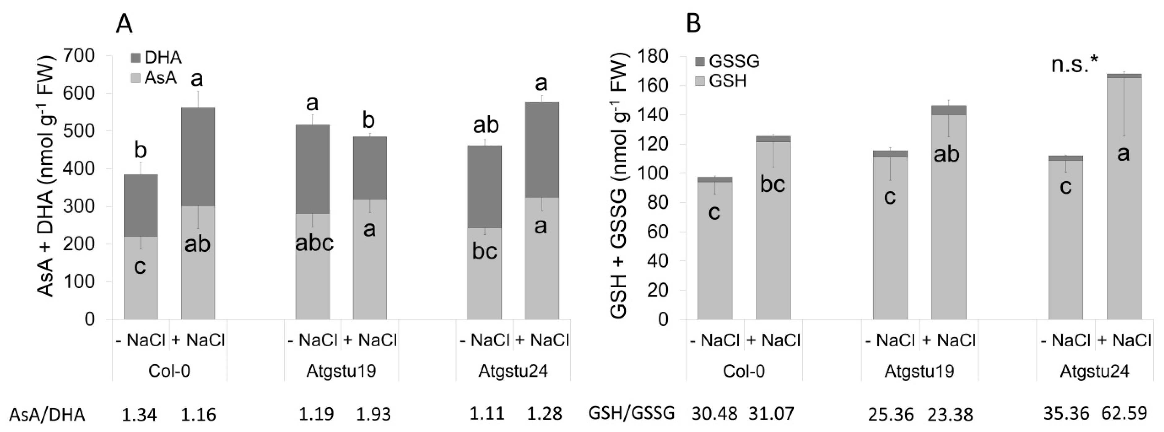 Ijms 21 02349 g004 Ijms 21 02349 g004