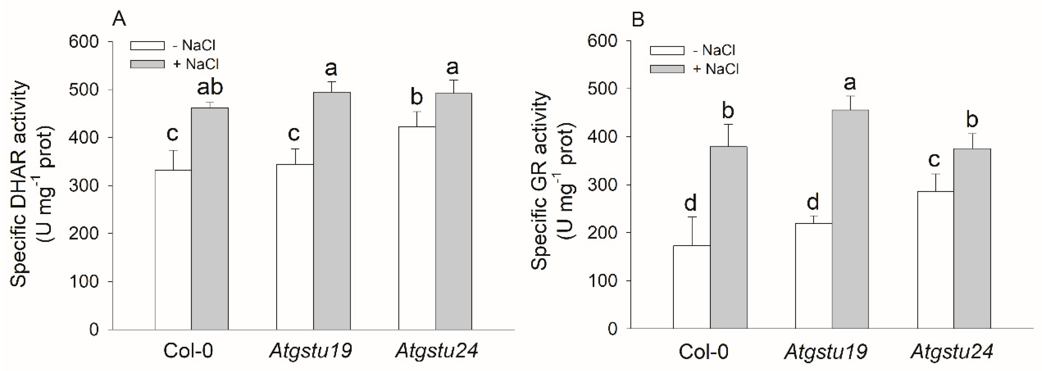 Ijms 21 02349 g005 Ijms 21 02349 g005