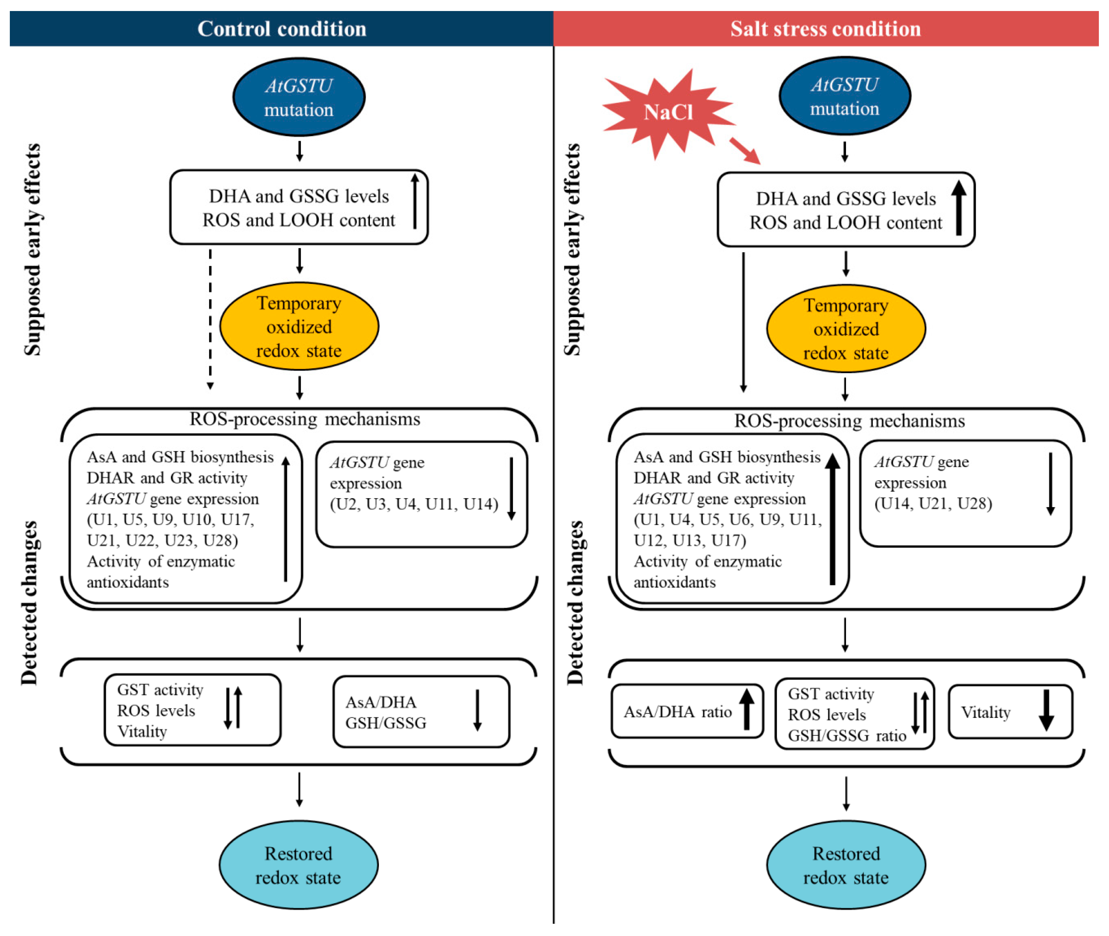 Ijms 21 02349 sch001 Ijms 21 02349 sch001