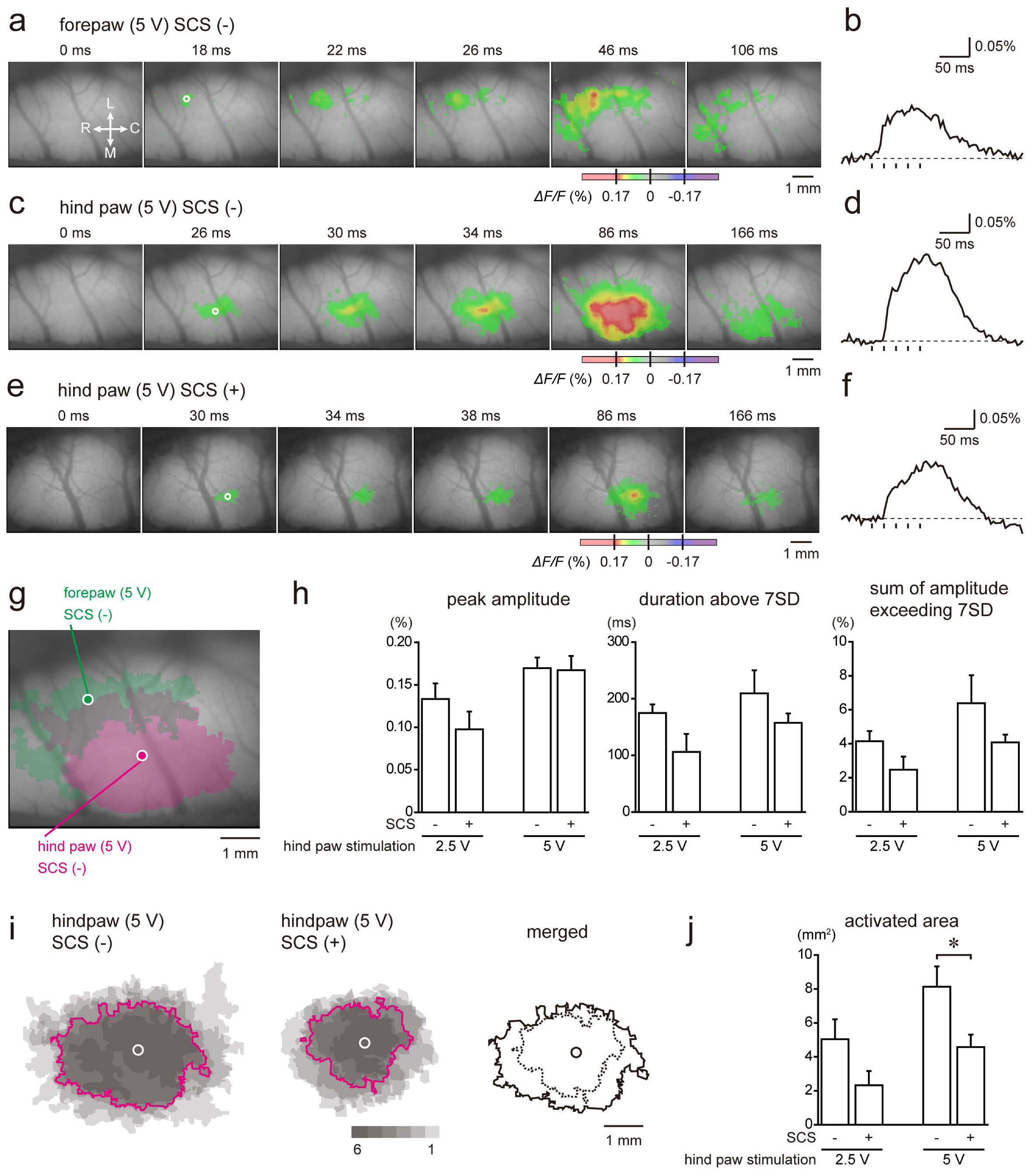 Ijms 21 02390 g006 Ijms 21 02390 g006