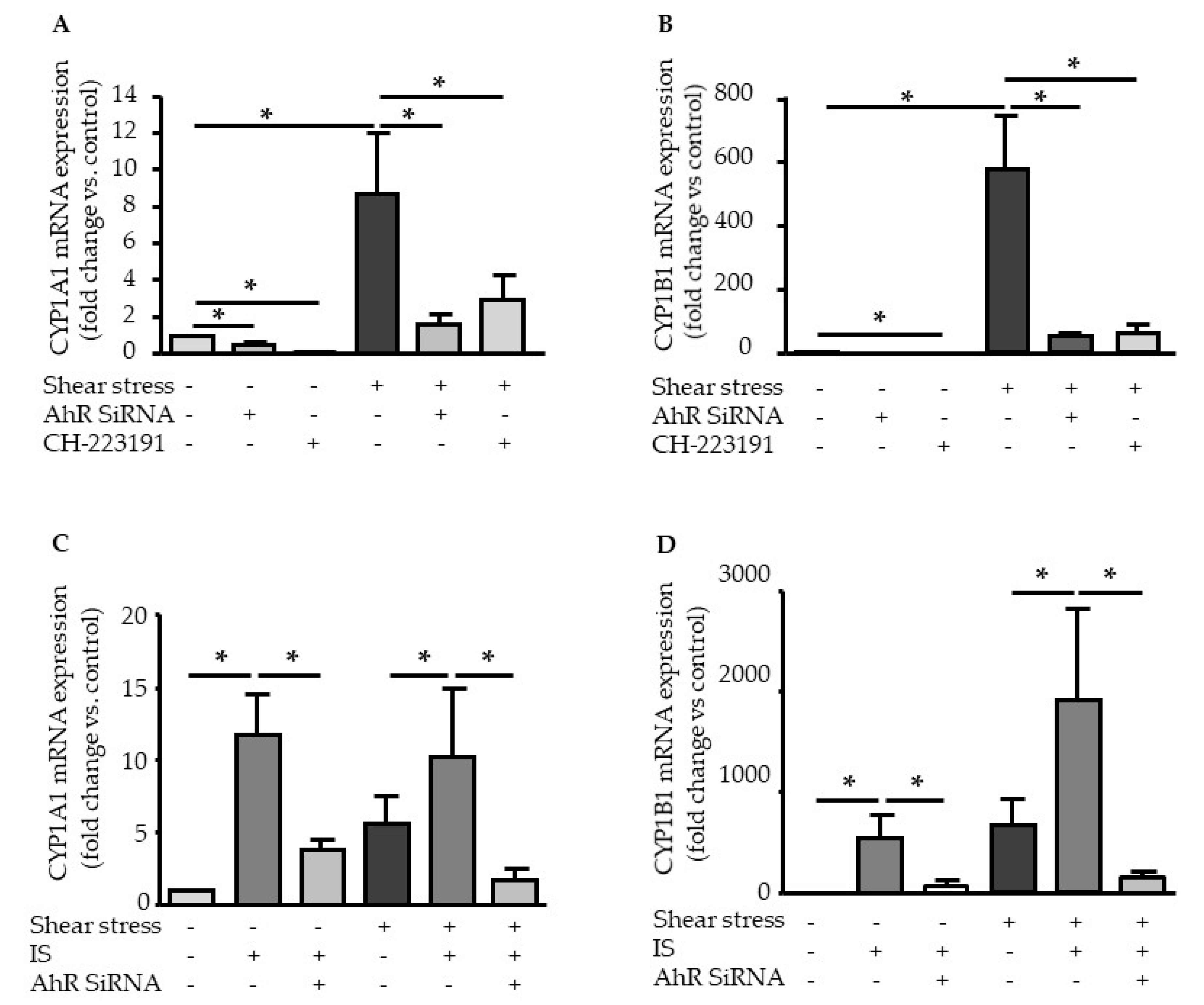 Ijms 21 02392 g003 Ijms 21 02392 g003
