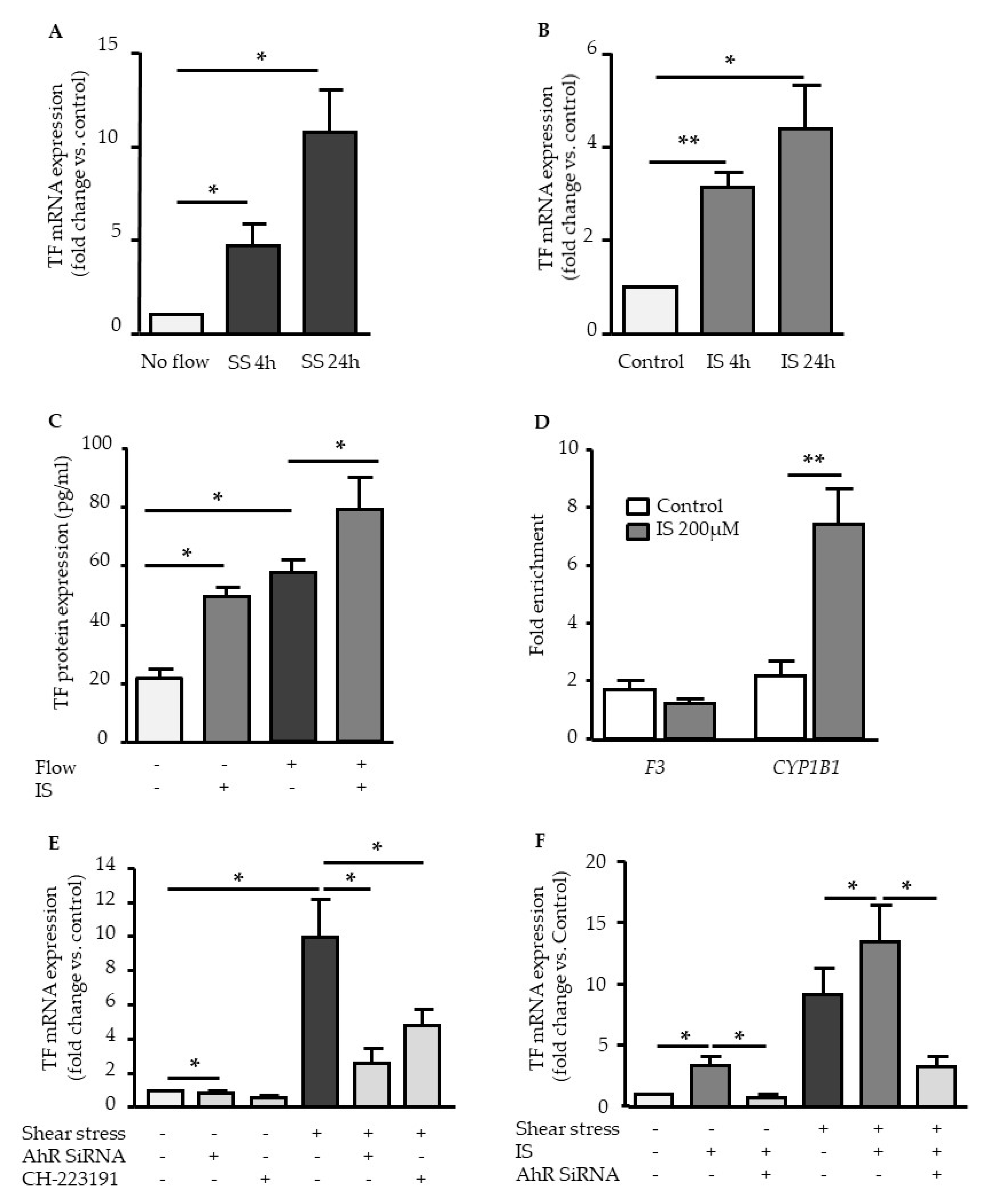 Ijms 21 02392 g005 Ijms 21 02392 g005