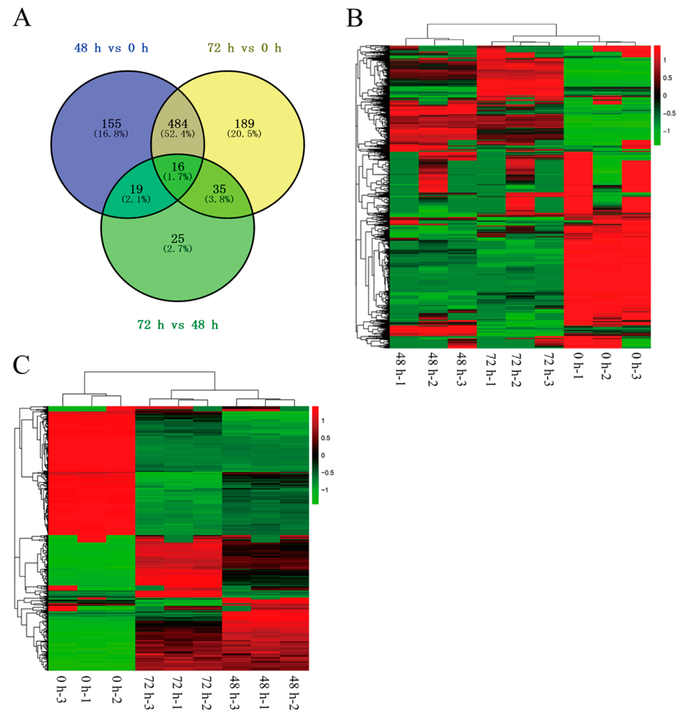 Ijms 21 02394 g005 Ijms 21 02394 g005