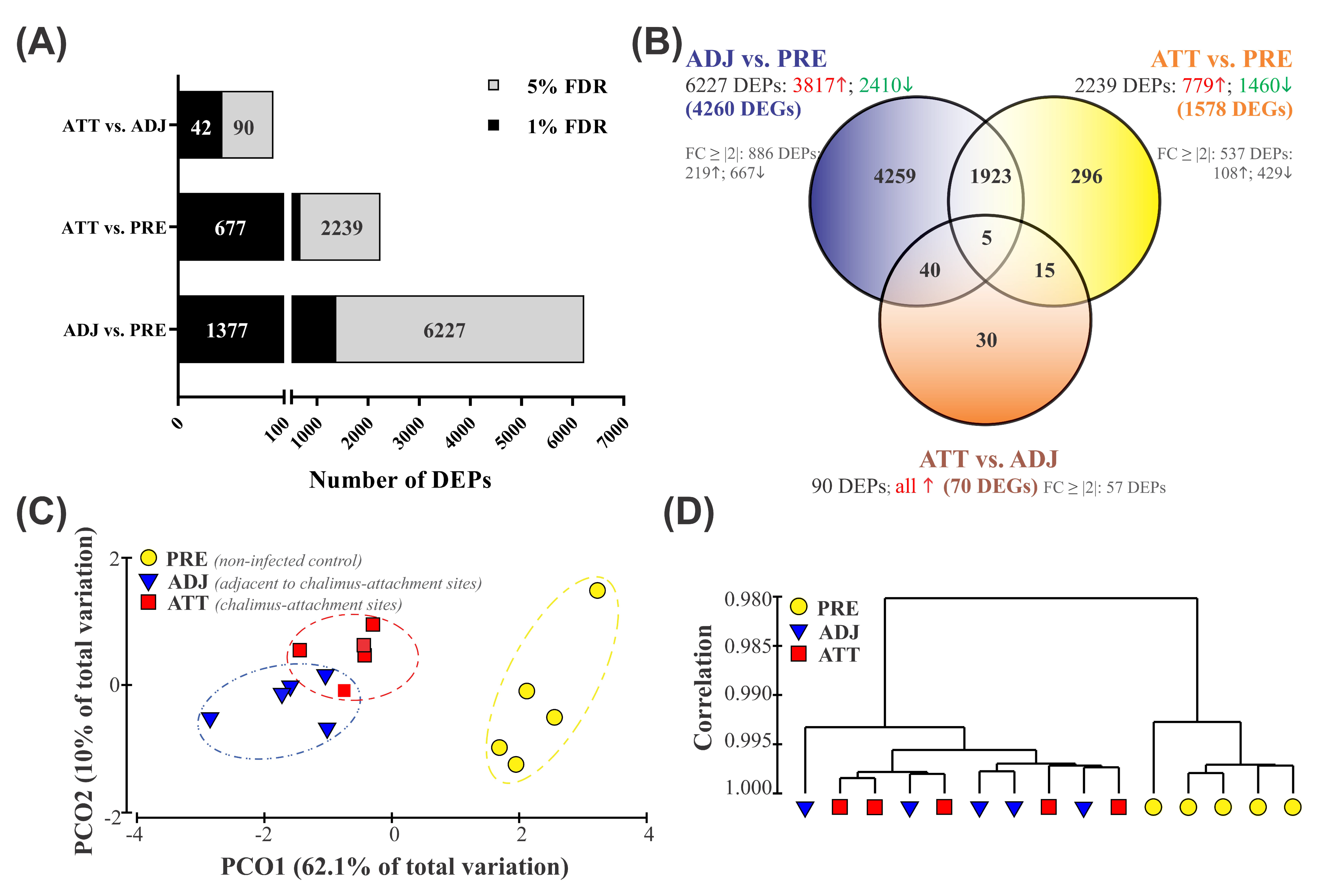 Ijms 21 02417 g001 Ijms 21 02417 g001