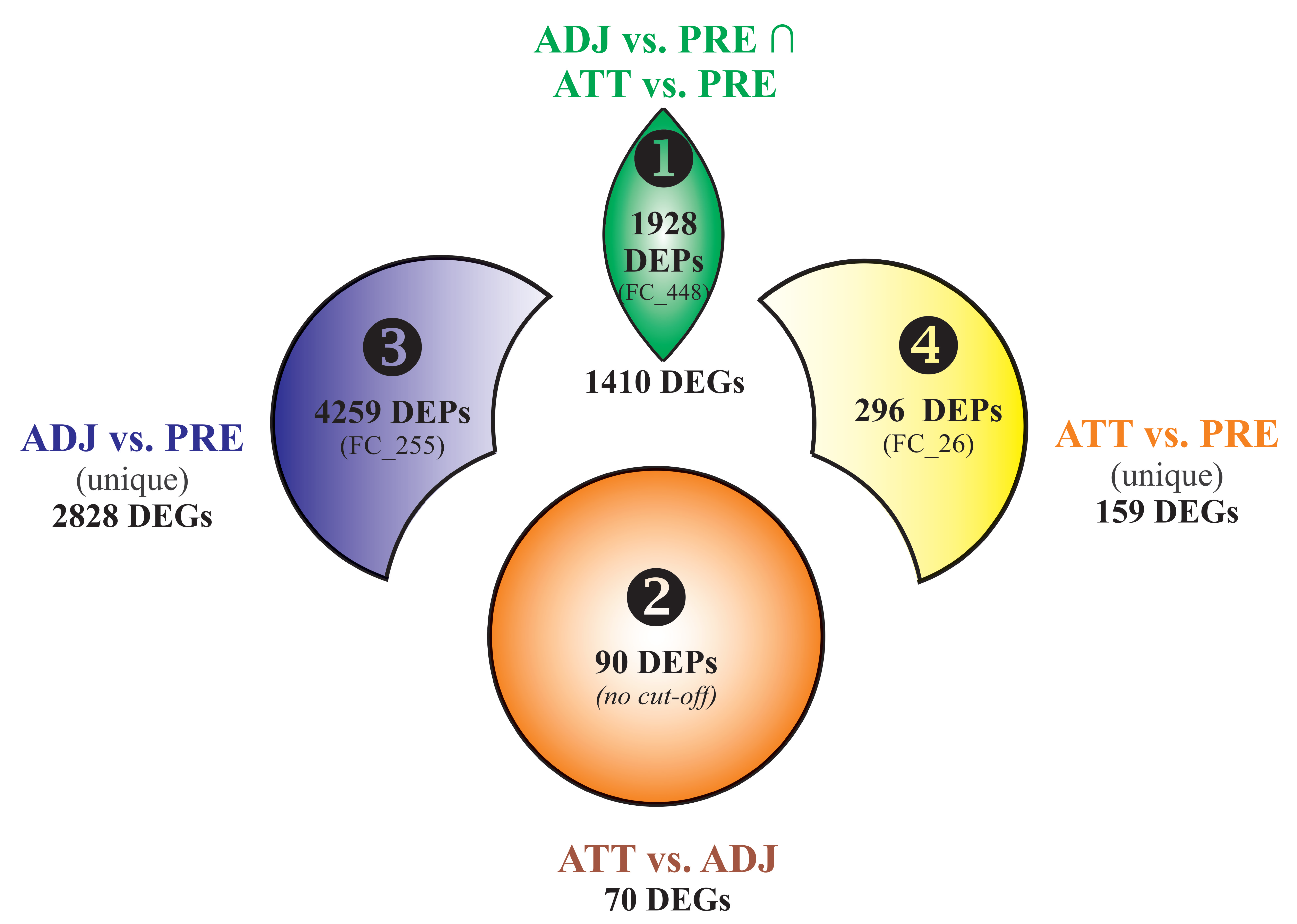 Ijms 21 02417 g002 Ijms 21 02417 g002