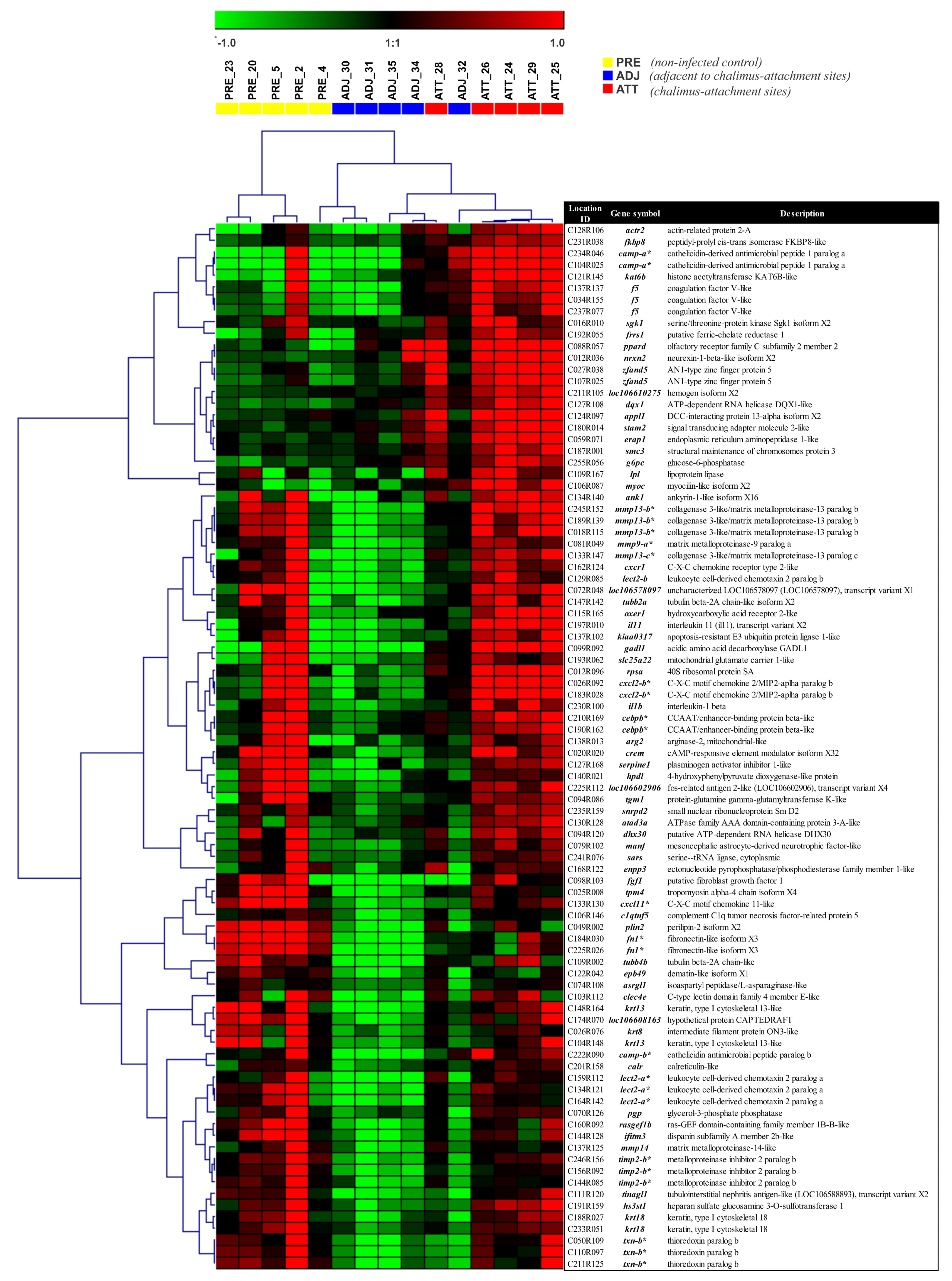 Ijms 21 02417 g006 Ijms 21 02417 g006