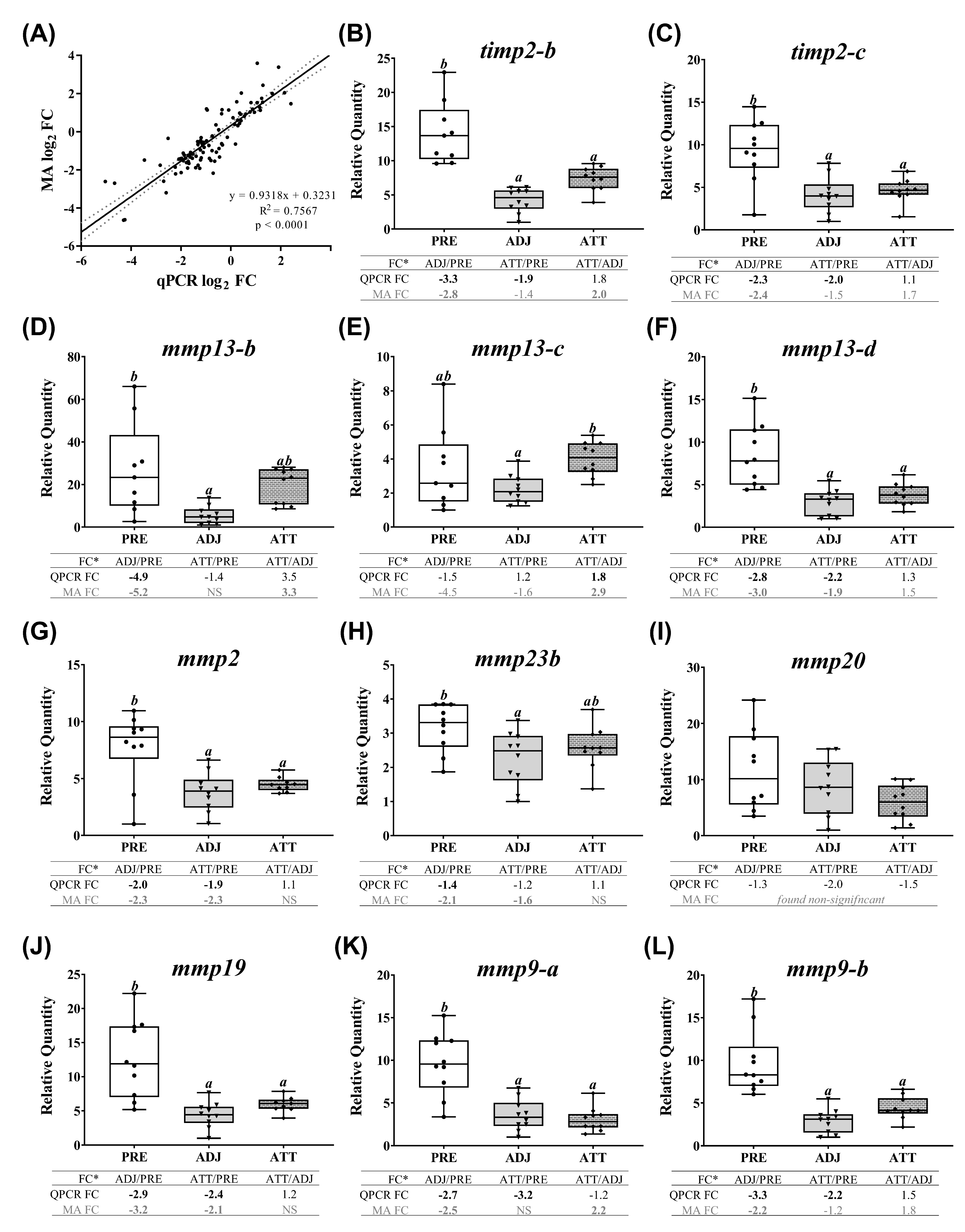 Ijms 21 02417 g007a Ijms 21 02417 g007a