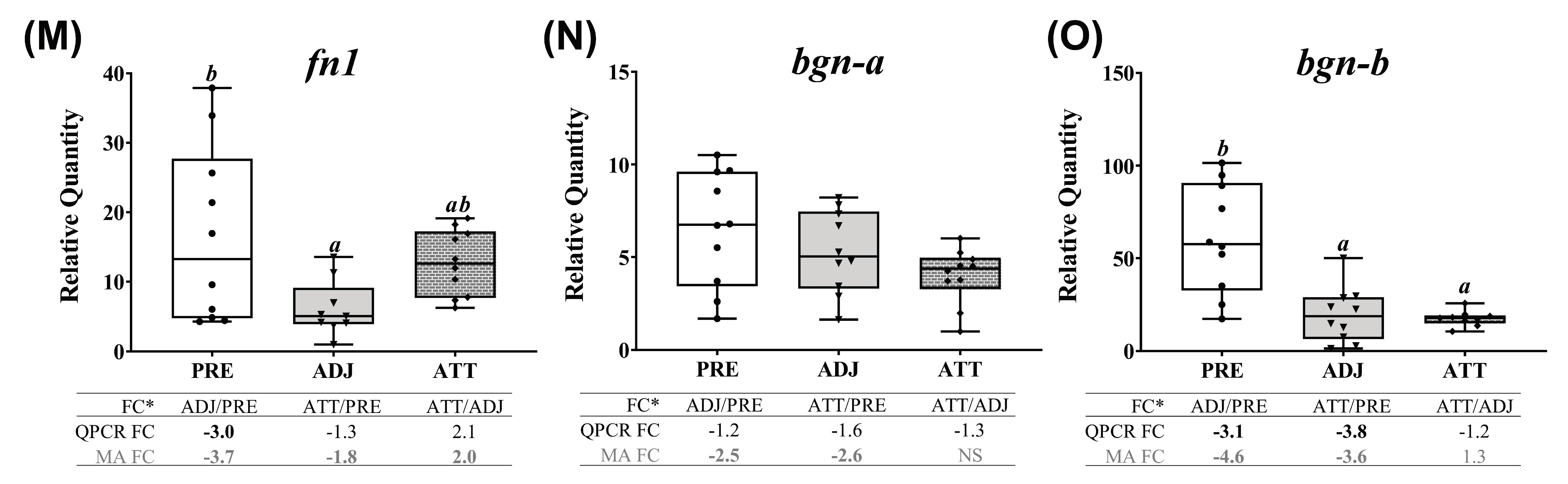 Ijms 21 02417 g007b Ijms 21 02417 g007b