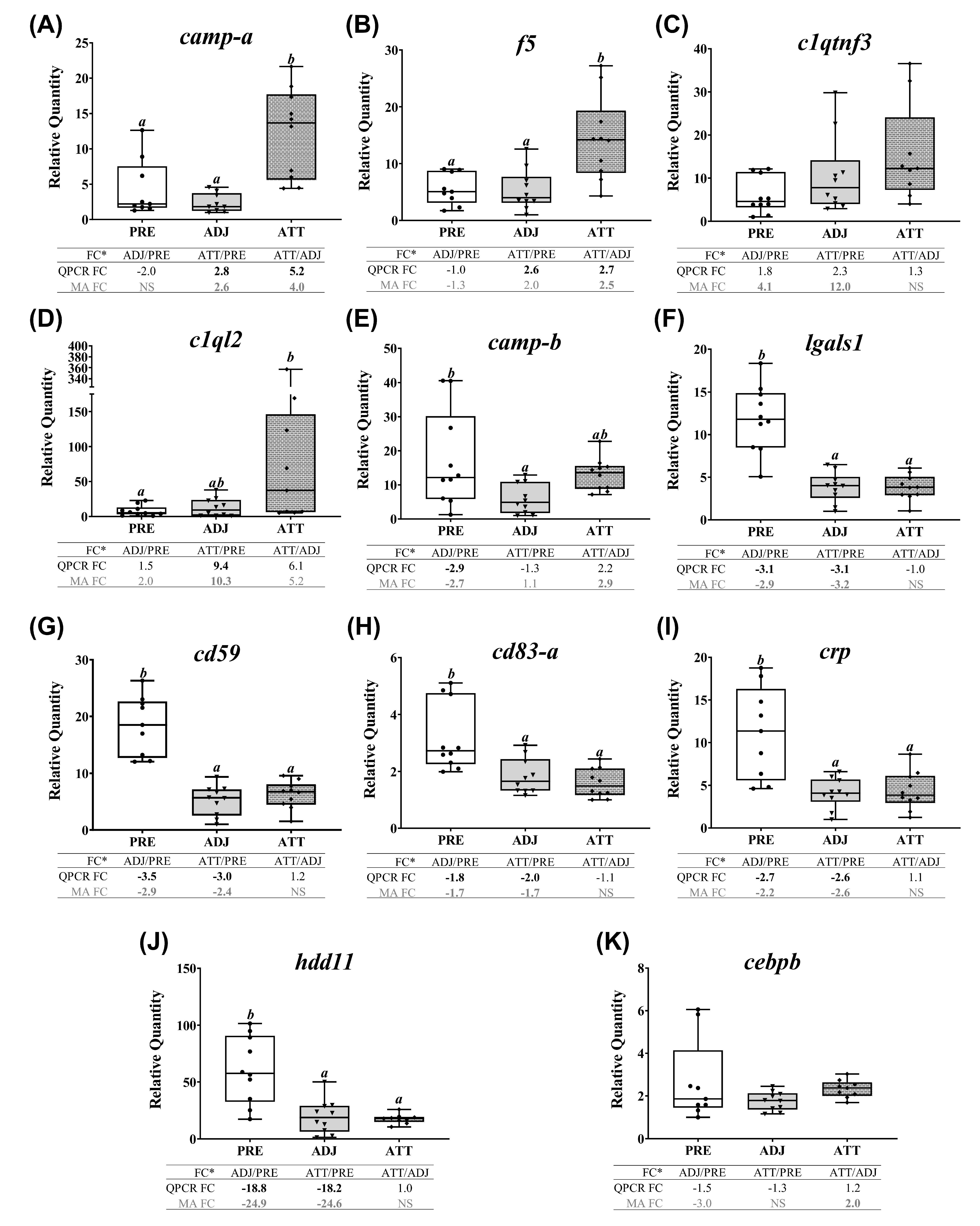 Ijms 21 02417 g008 Ijms 21 02417 g008