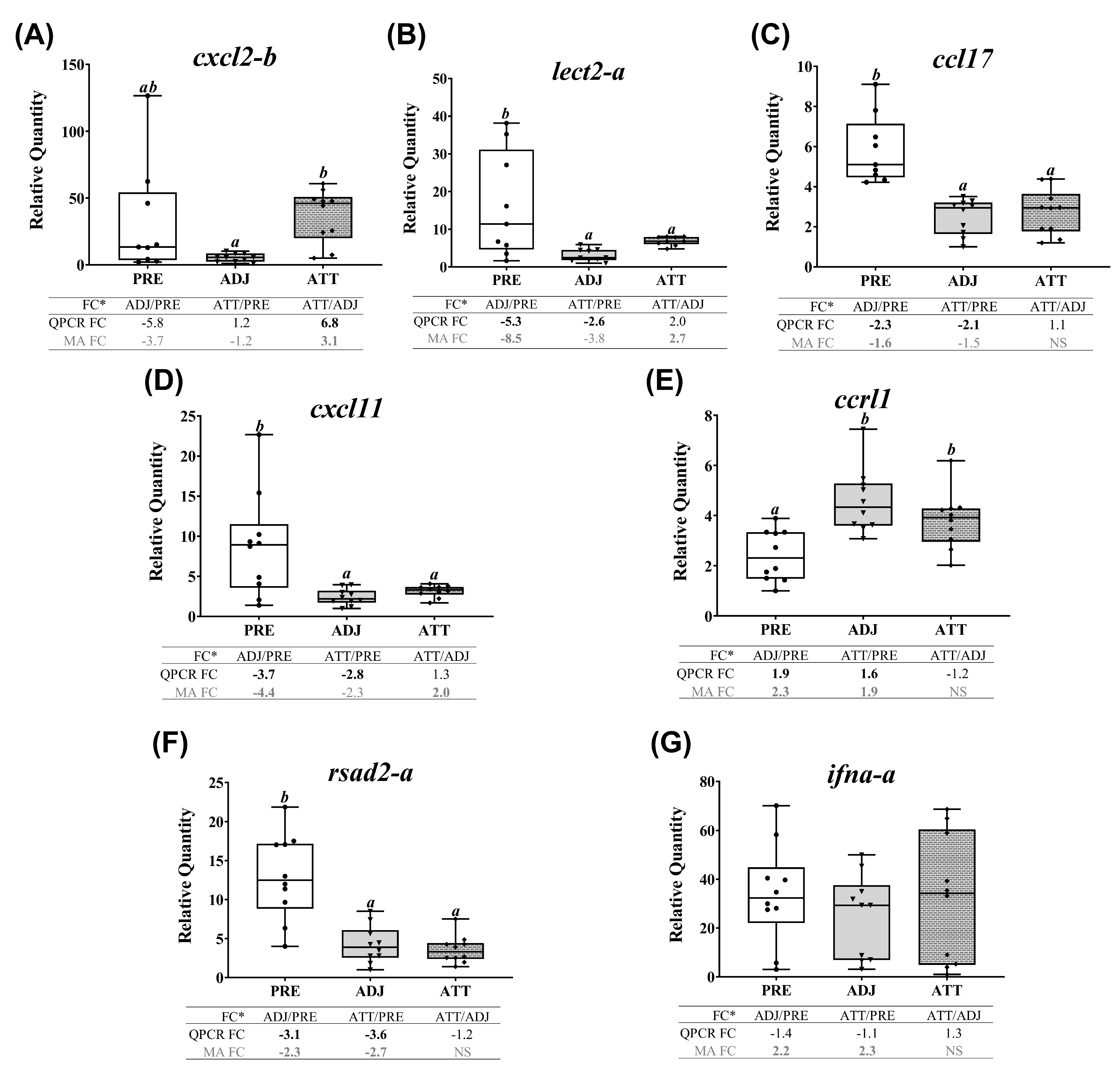 Ijms 21 02417 g009 Ijms 21 02417 g009