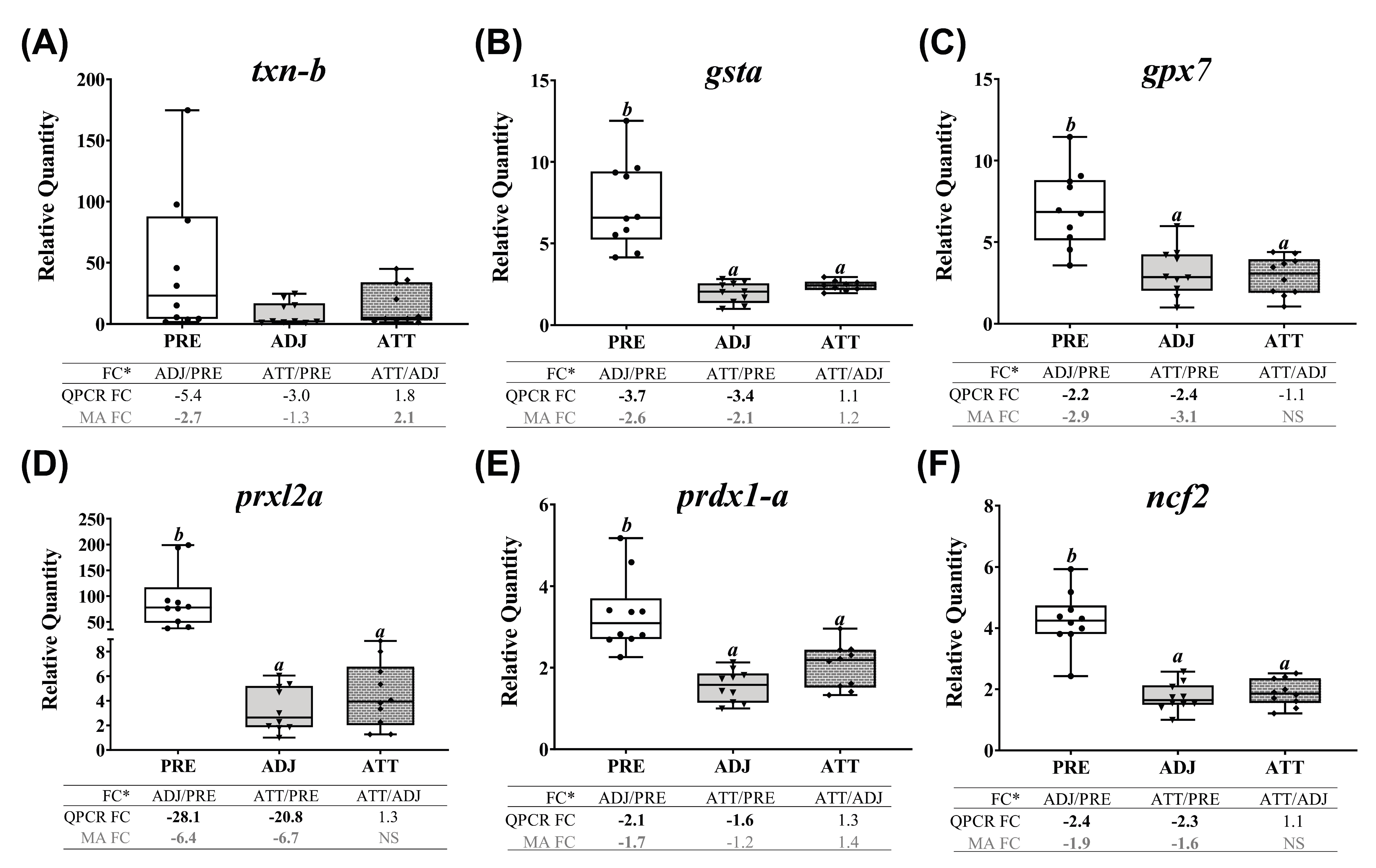 Ijms 21 02417 g010 Ijms 21 02417 g010