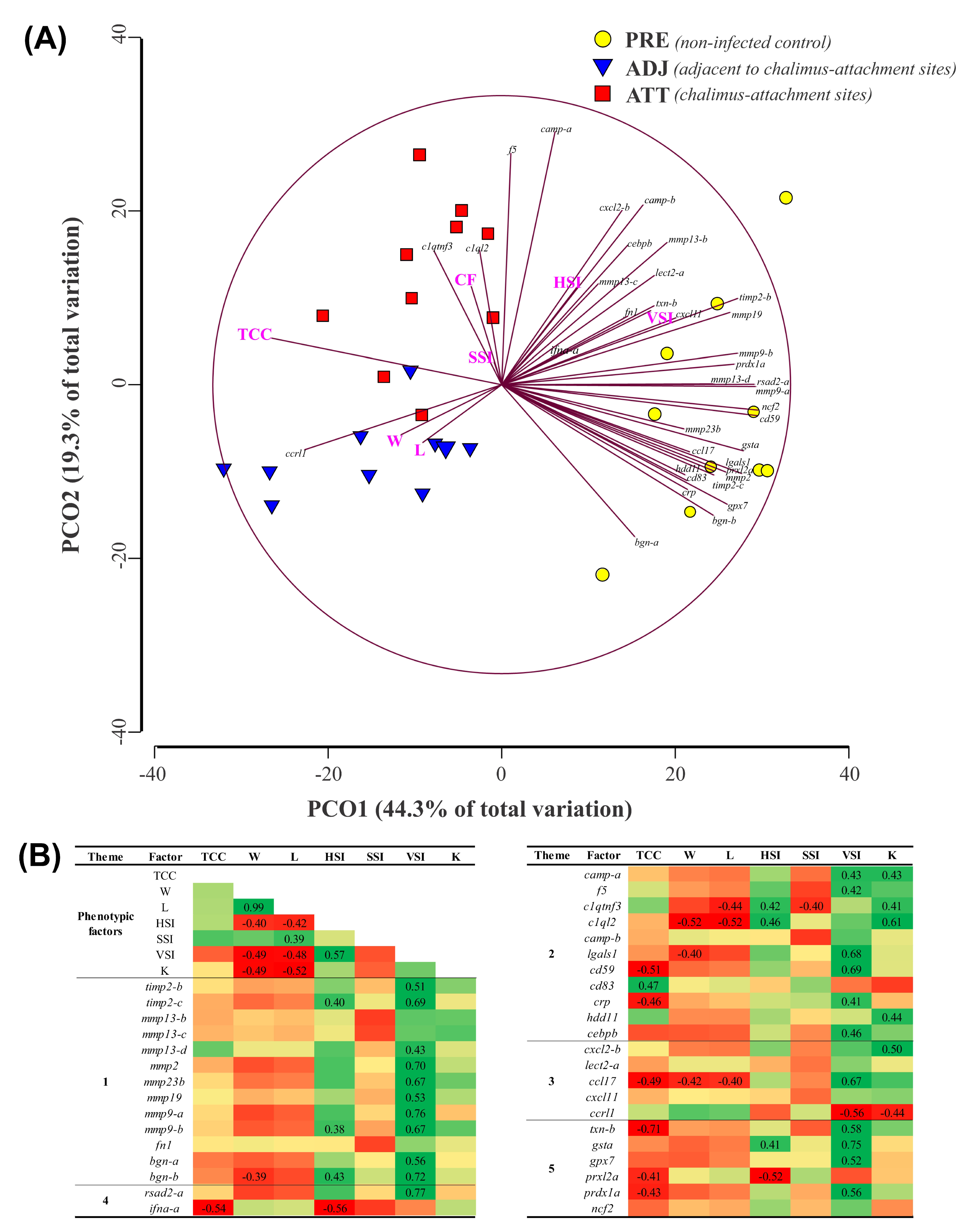 Ijms 21 02417 g011 Ijms 21 02417 g011