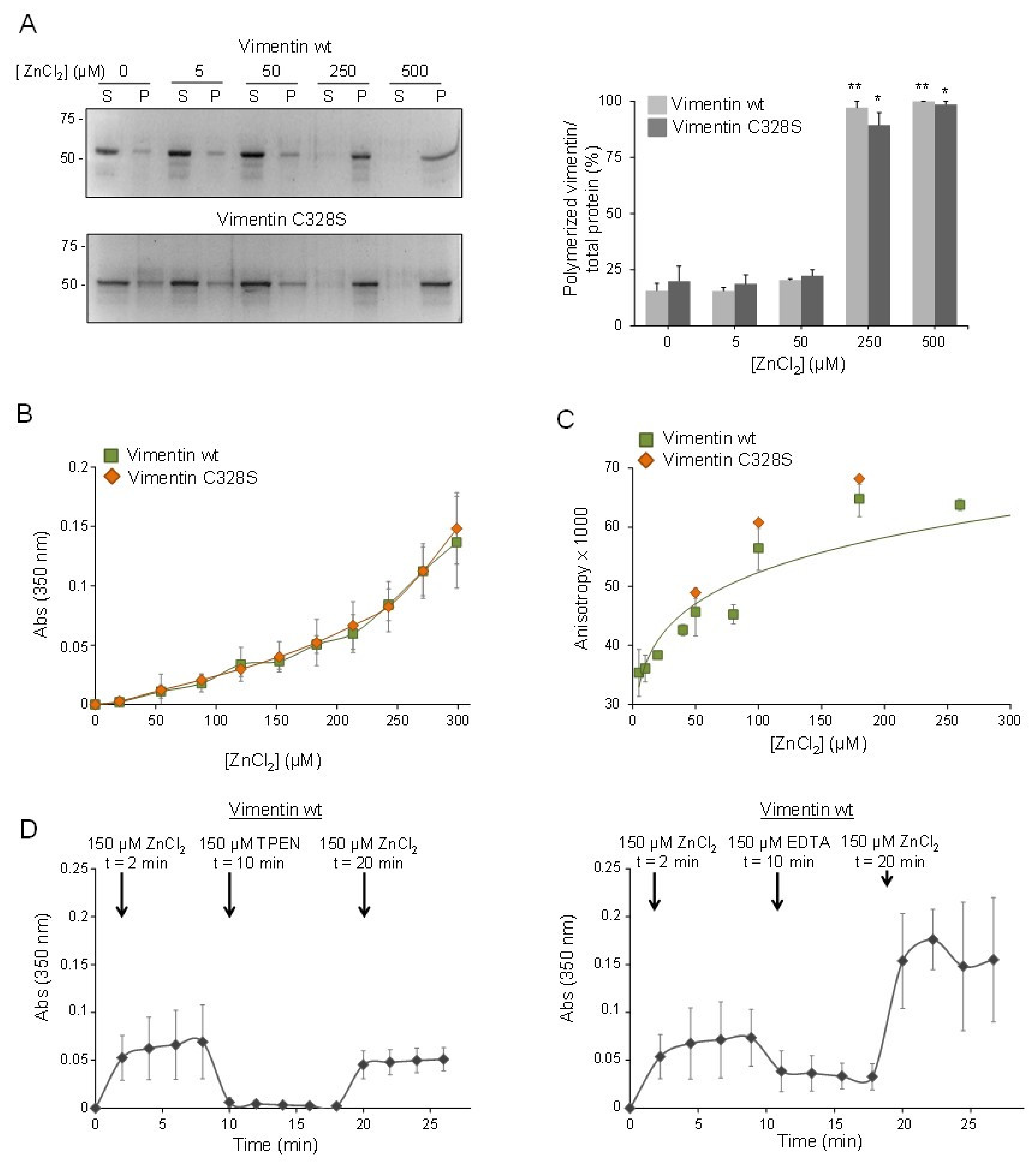Ijms 21 02426 g002 Ijms 21 02426 g002