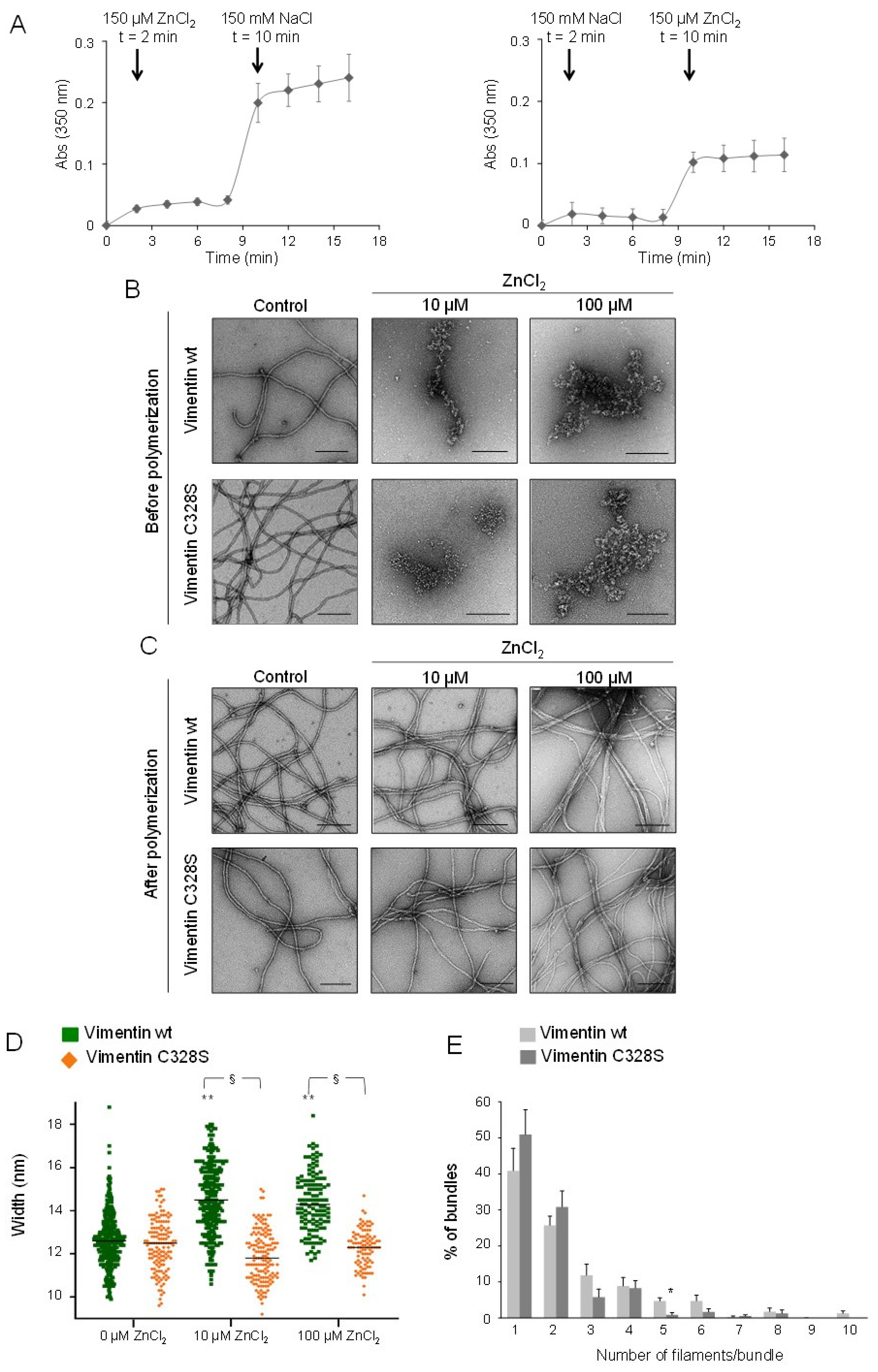 Ijms 21 02426 g006 Ijms 21 02426 g006