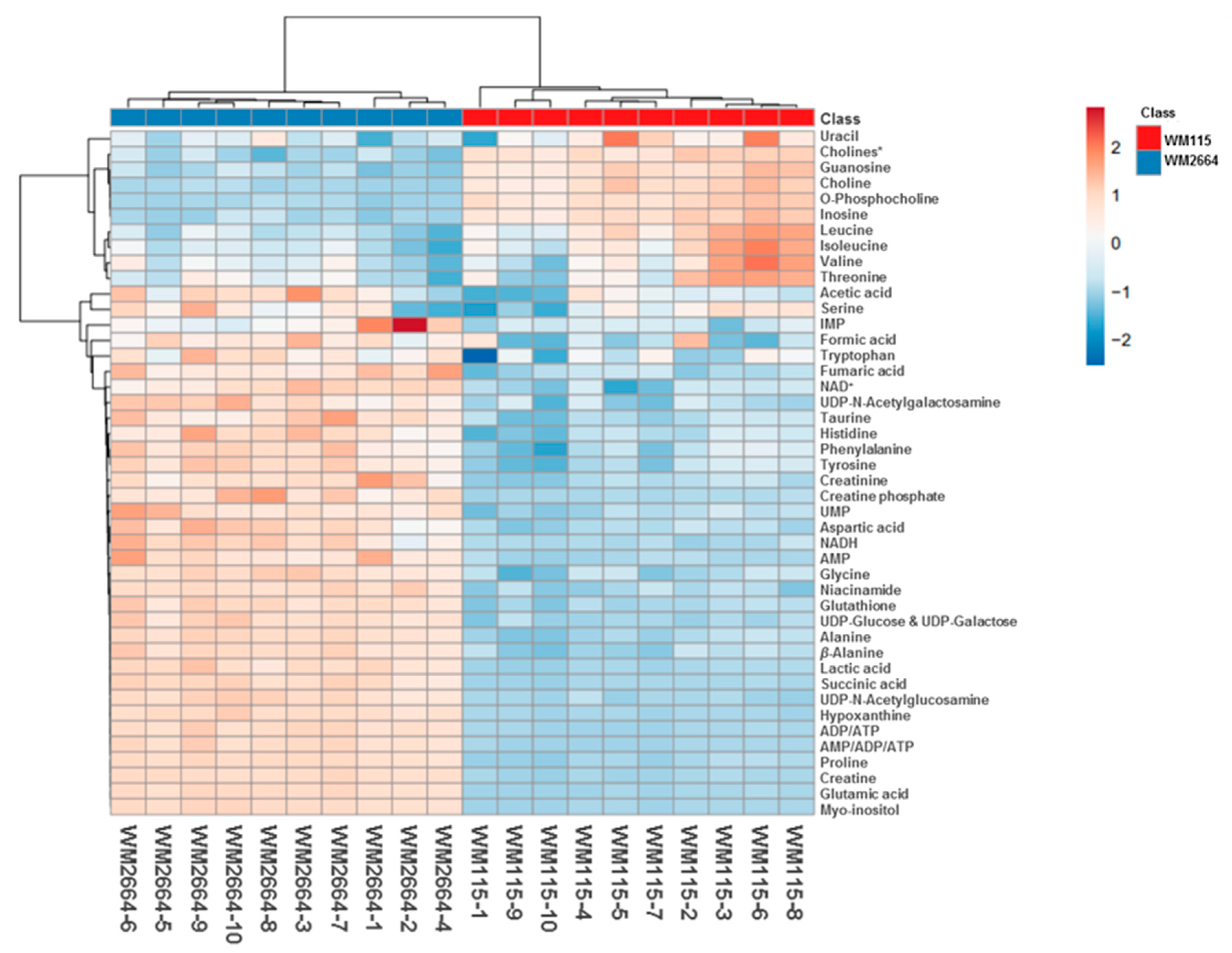Ijms 21 02436 g004 Ijms 21 02436 g004
