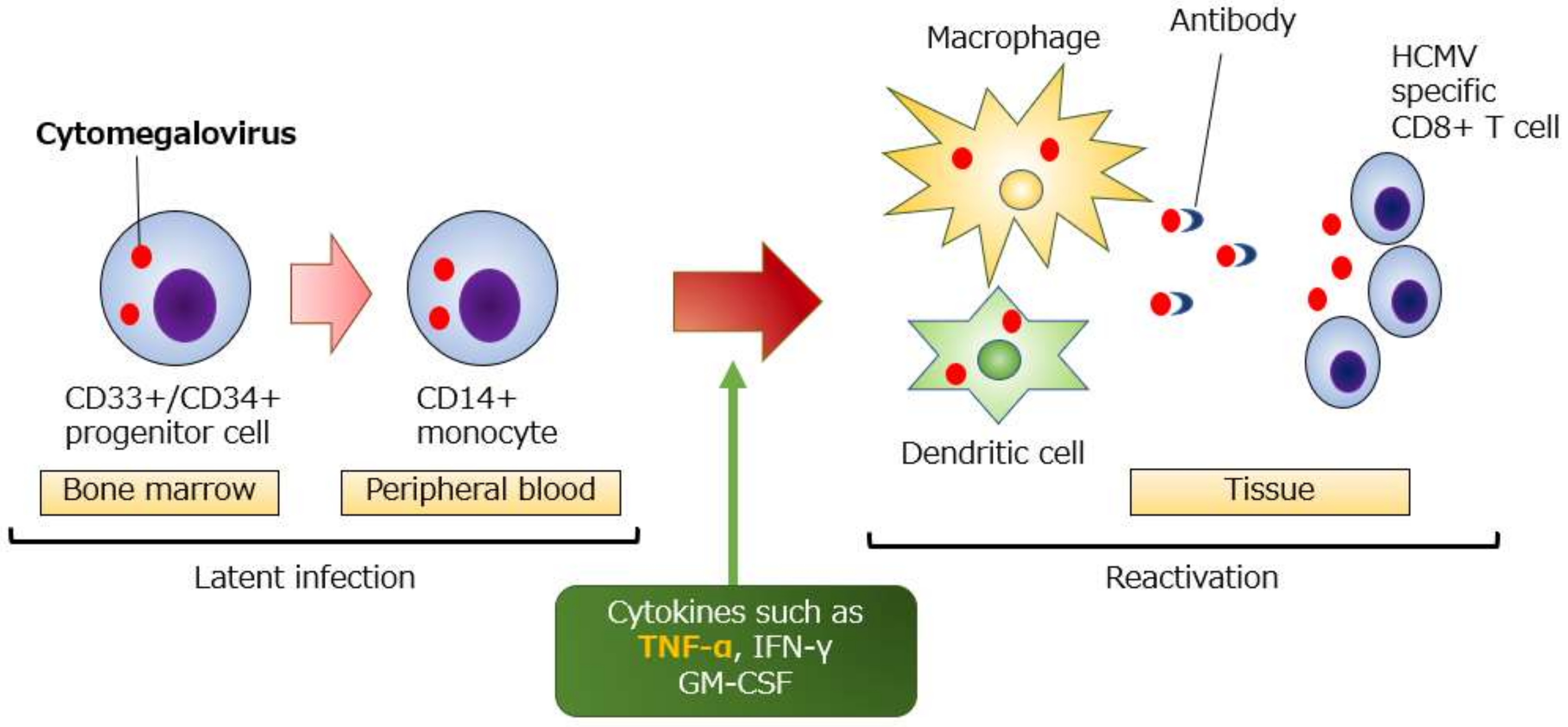 Ijms 21 02438 g001 Ijms 21 02438 g001