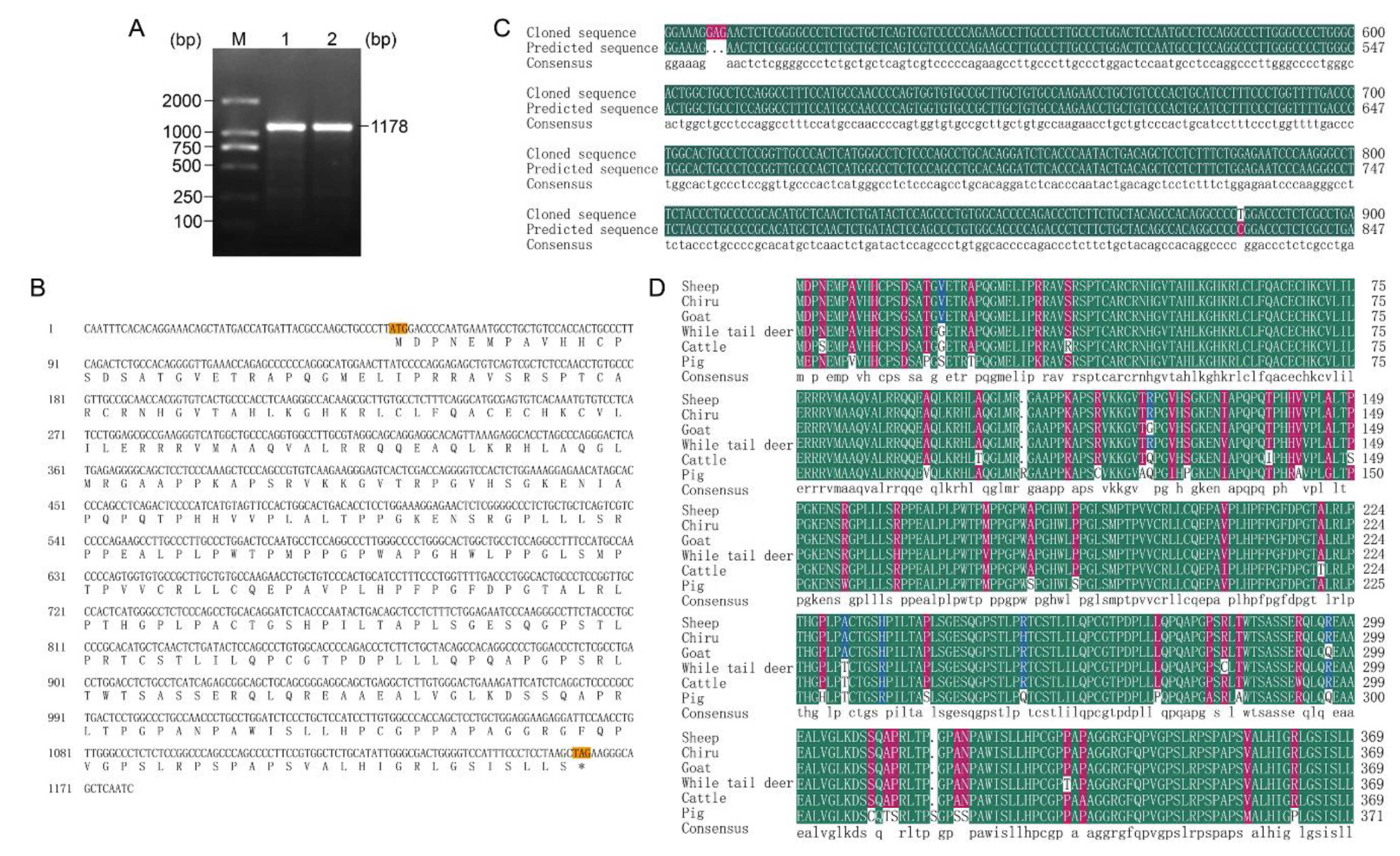 Ijms 21 02448 g001 Ijms 21 02448 g001