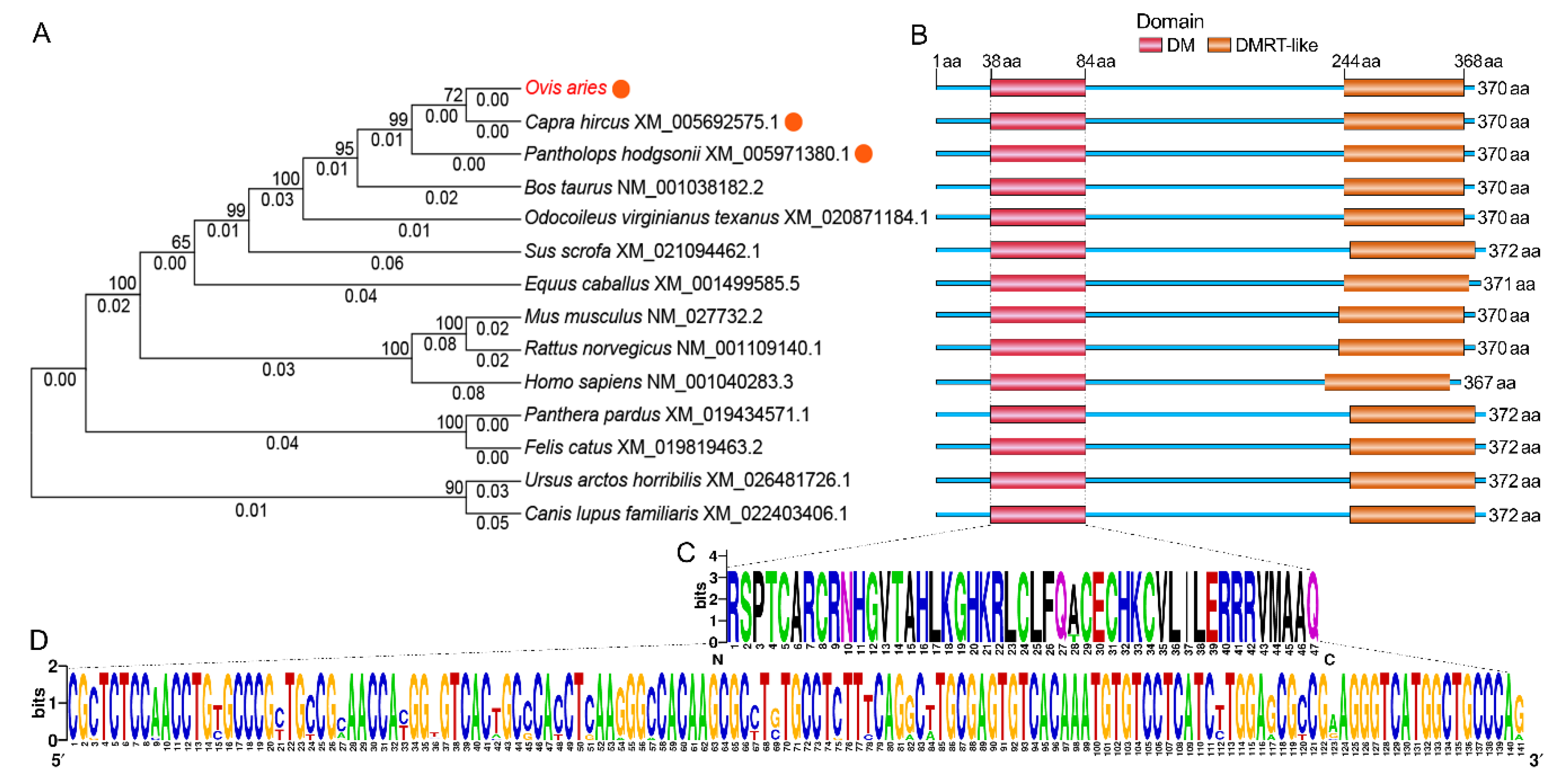 Ijms 21 02448 g004 Ijms 21 02448 g004