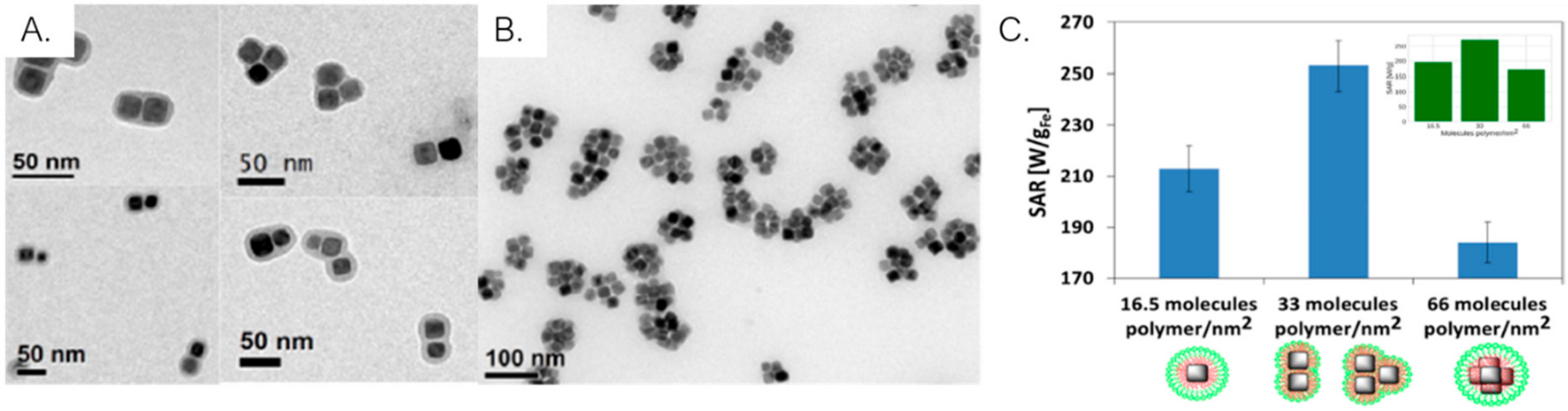 Ijms 21 02455 g009 Ijms 21 02455 g009