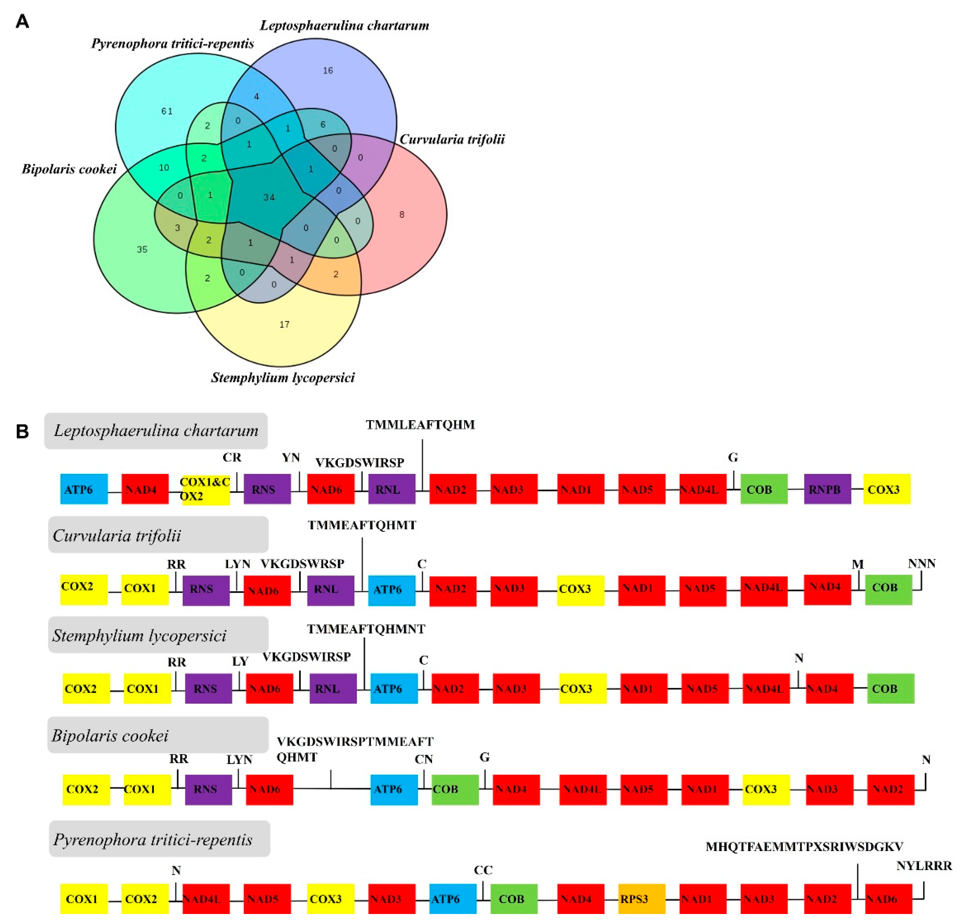 Ijms 21 02461 g004 Ijms 21 02461 g004