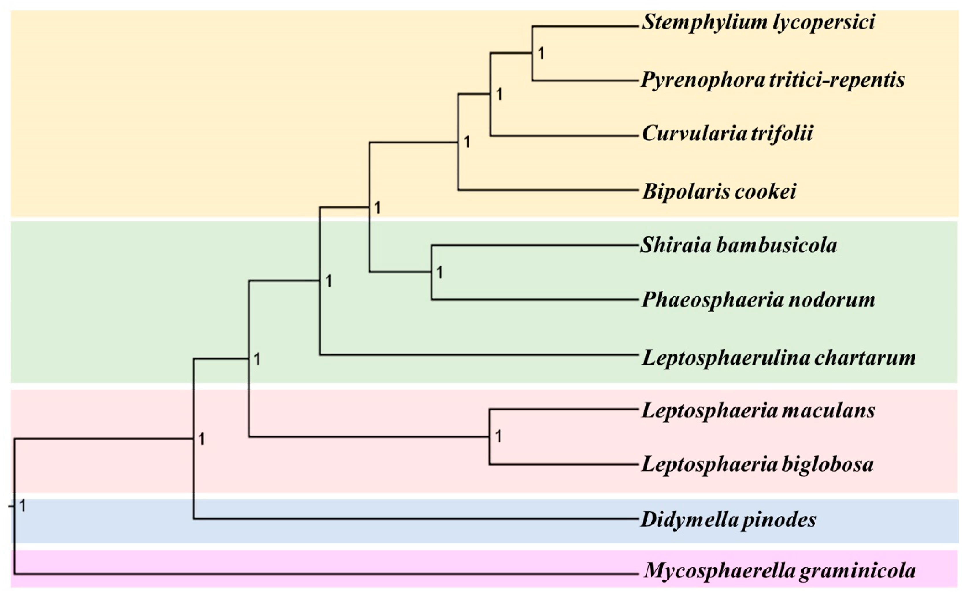 Ijms 21 02461 g007 Ijms 21 02461 g007