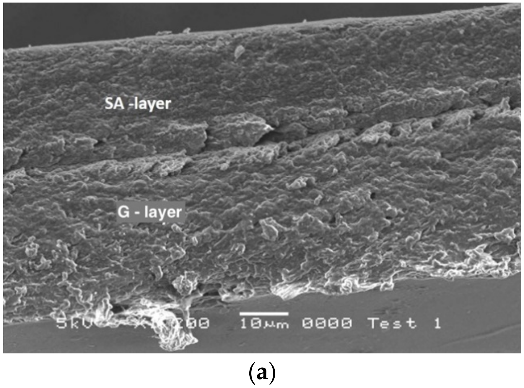 Ijms 21 02486 g003a Ijms 21 02486 g003a