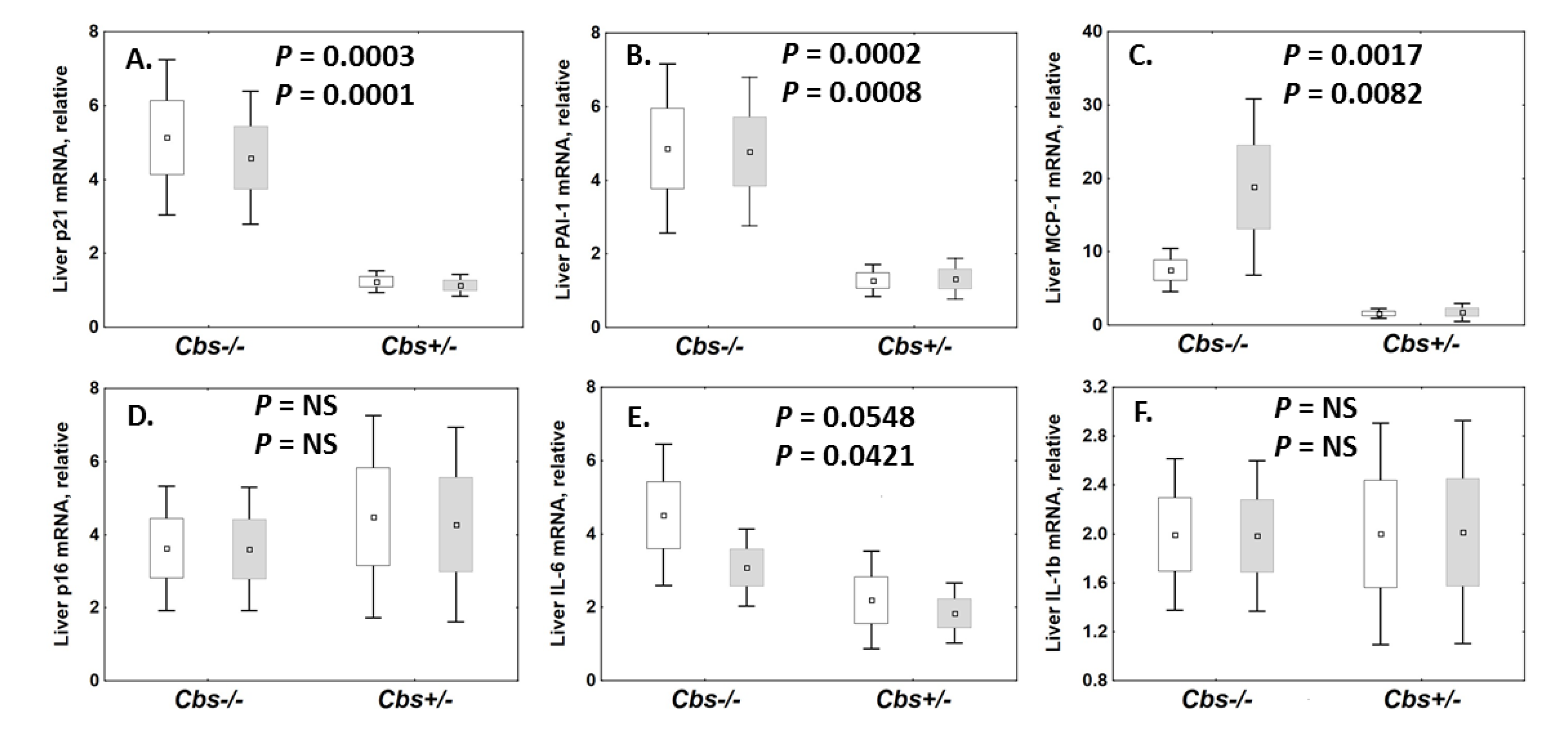 Ijms 21 02520 g001 Ijms 21 02520 g001