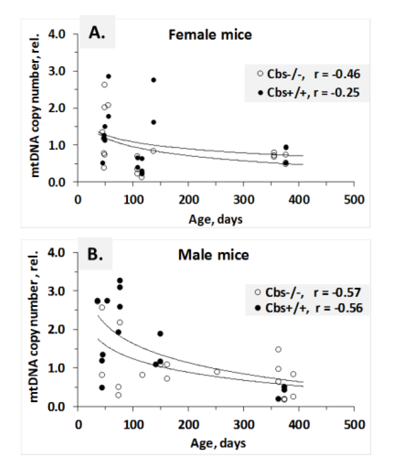 Ijms 21 02520 g003 Ijms 21 02520 g003