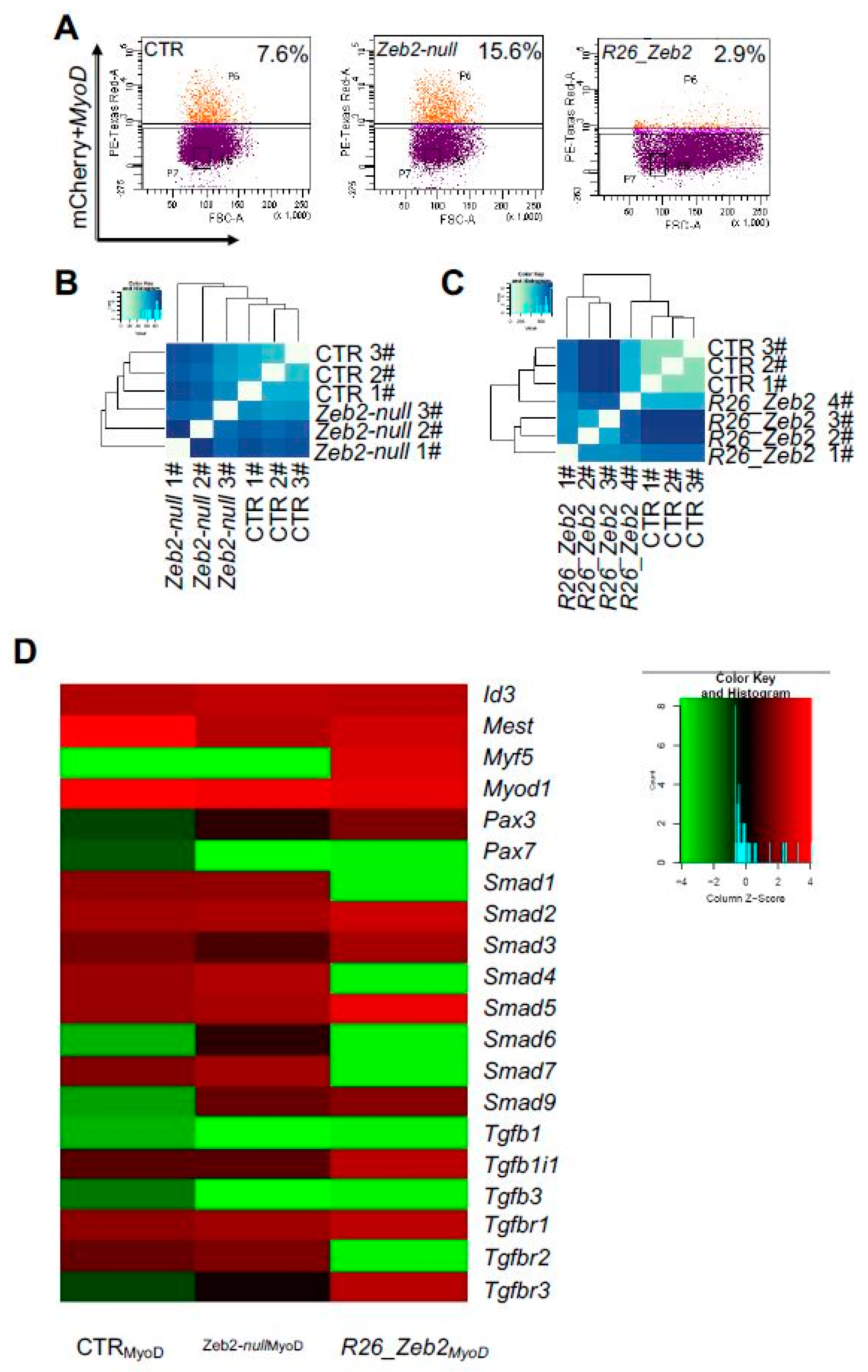 Ijms 21 02525 g003 Ijms 21 02525 g003