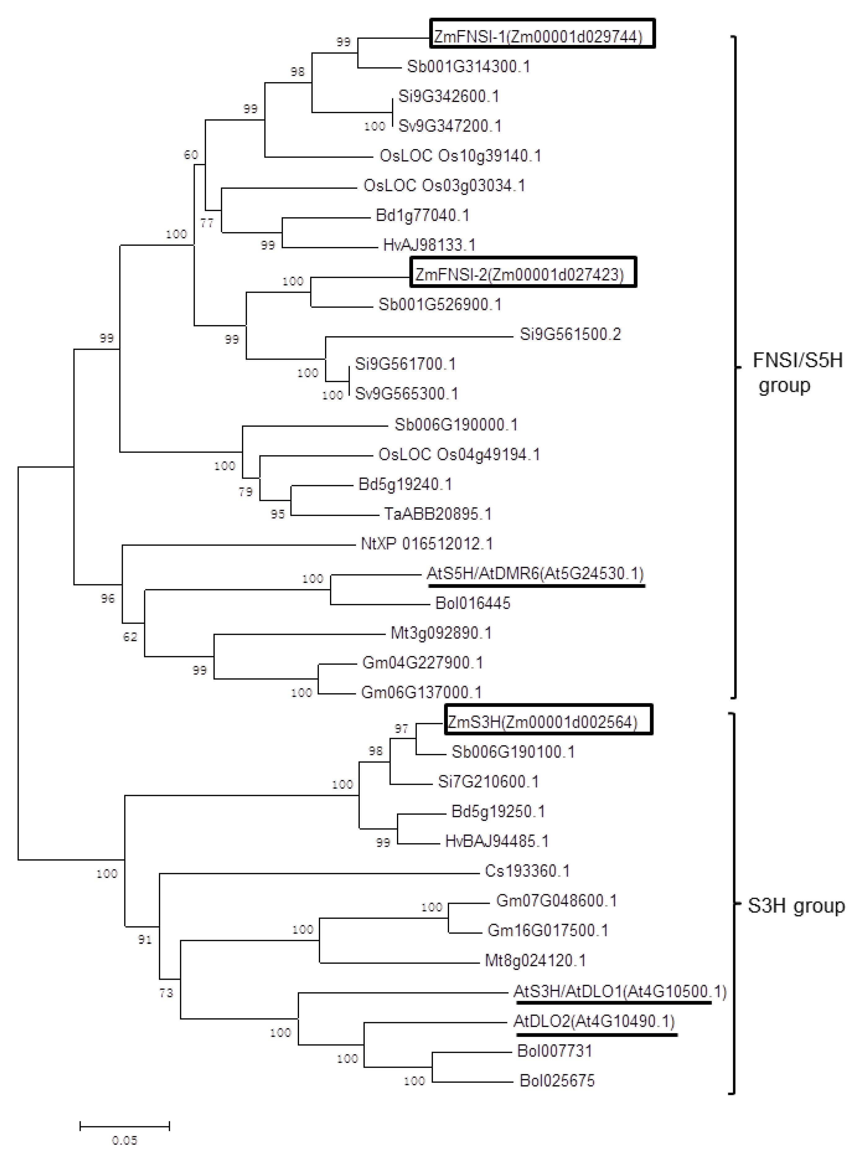 Ijms 21 02529 g002 Ijms 21 02529 g002