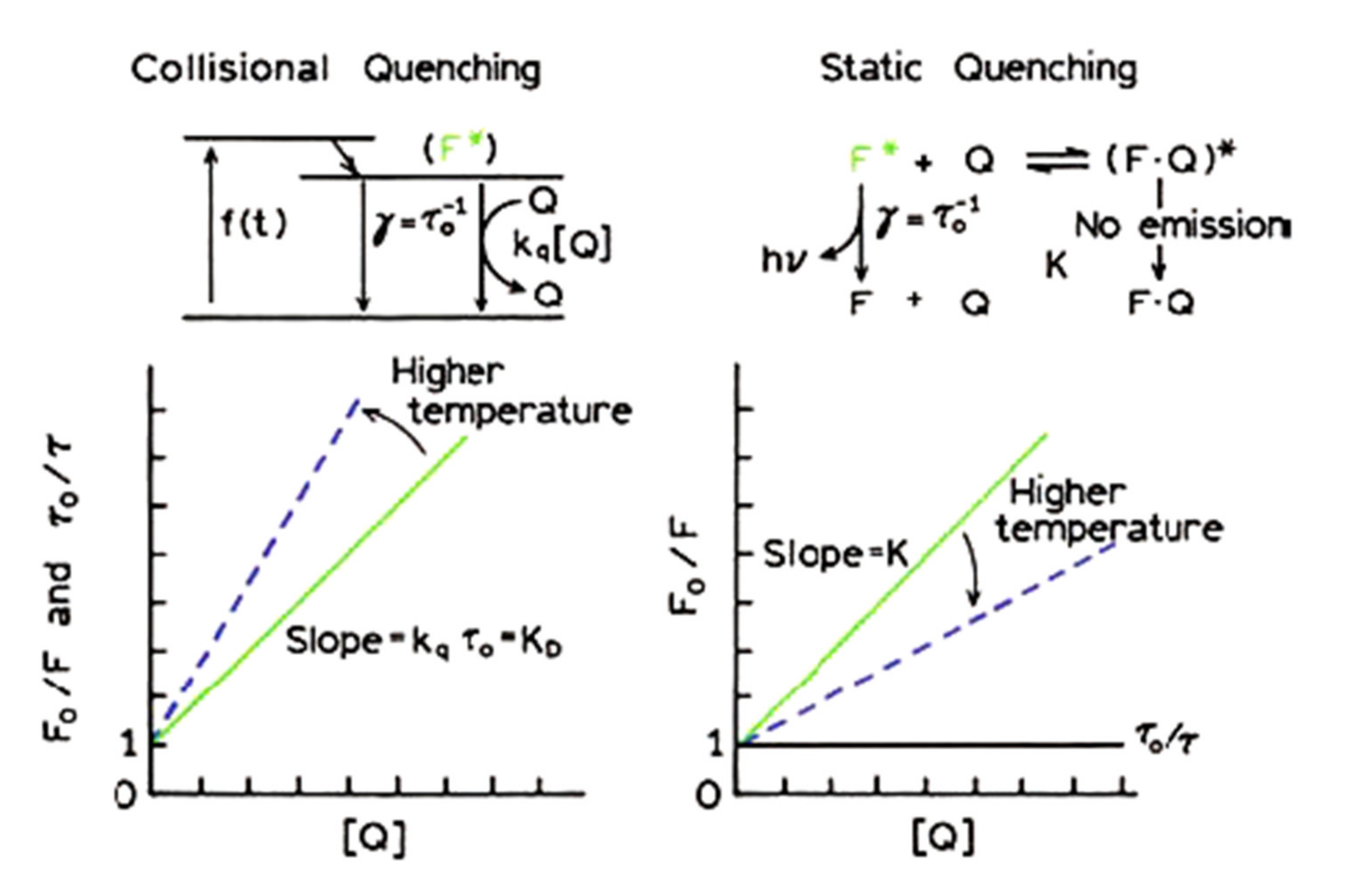Ijms 21 02550 g004 Ijms 21 02550 g004