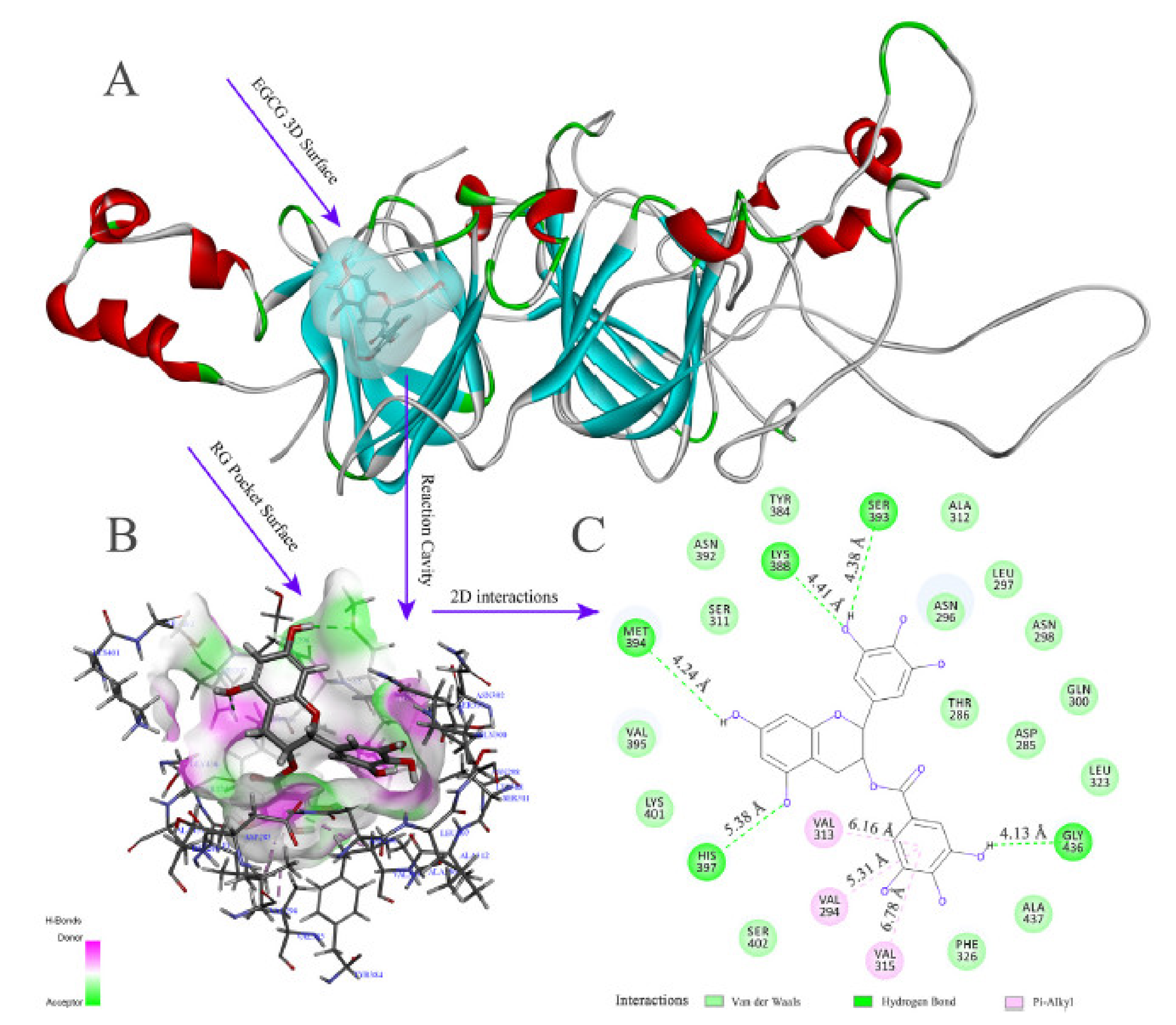 Ijms 21 02550 g005 Ijms 21 02550 g005