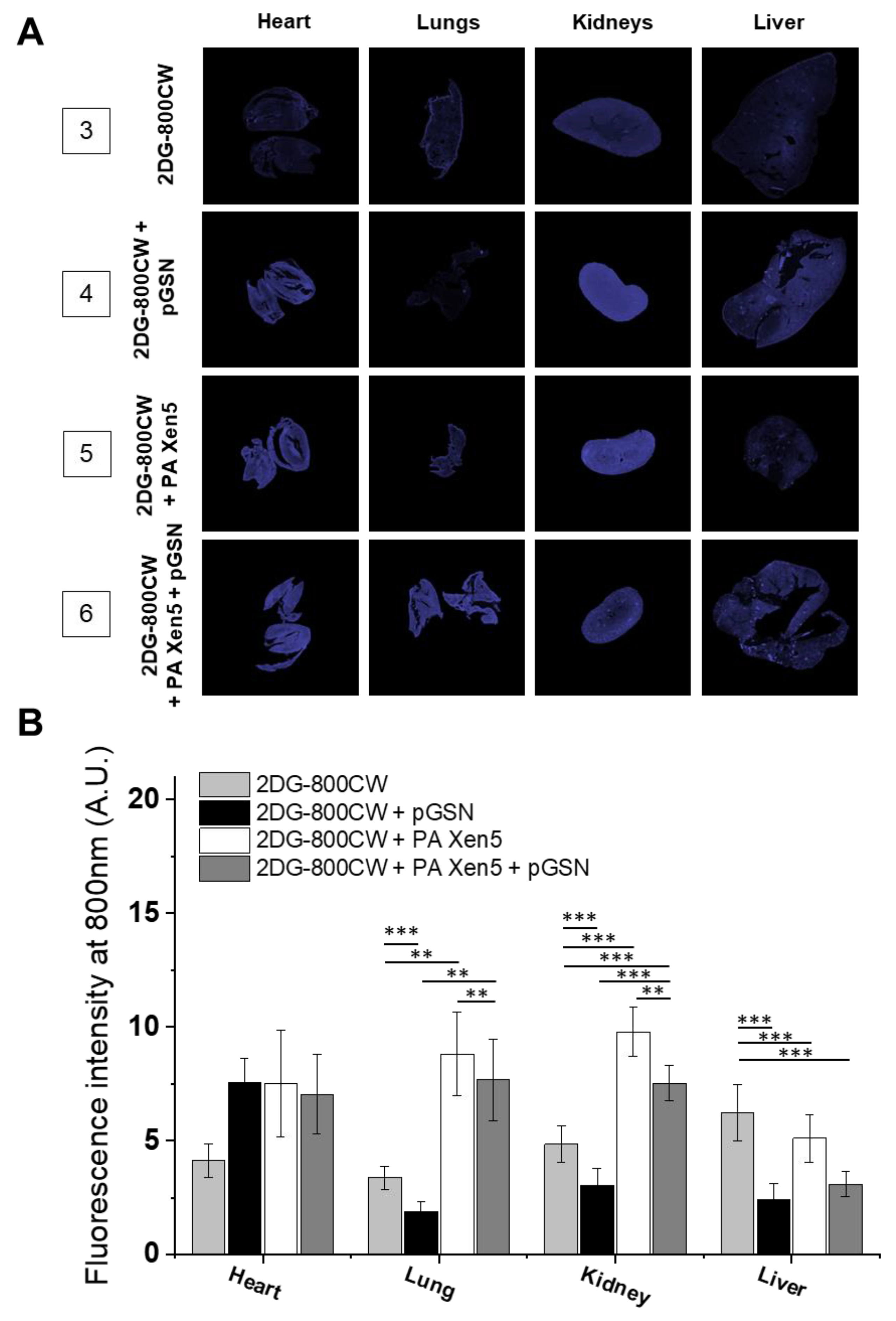 Ijms 21 02551 g003 Ijms 21 02551 g003