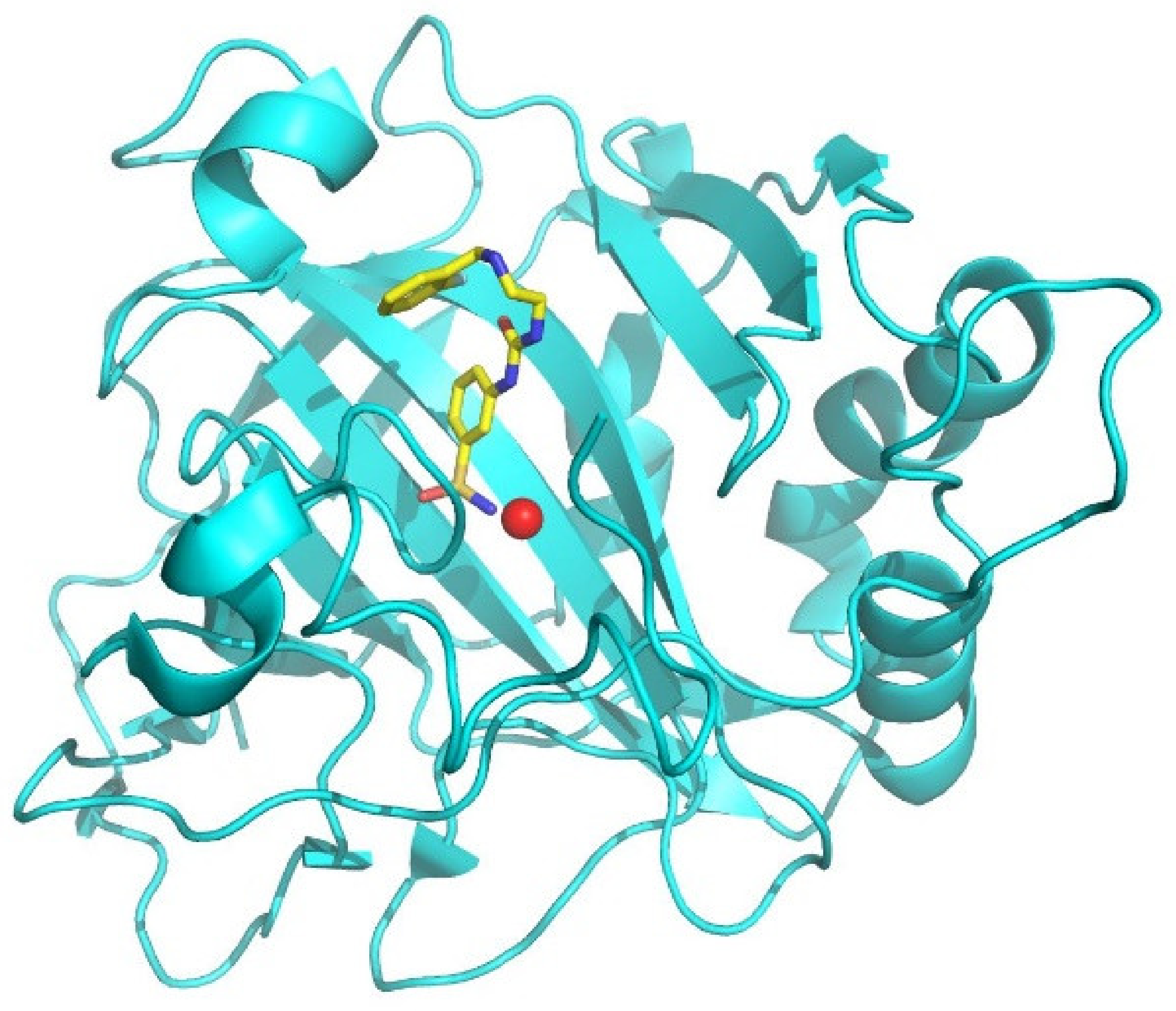 Ijms 21 02560 g001 Ijms 21 02560 g001