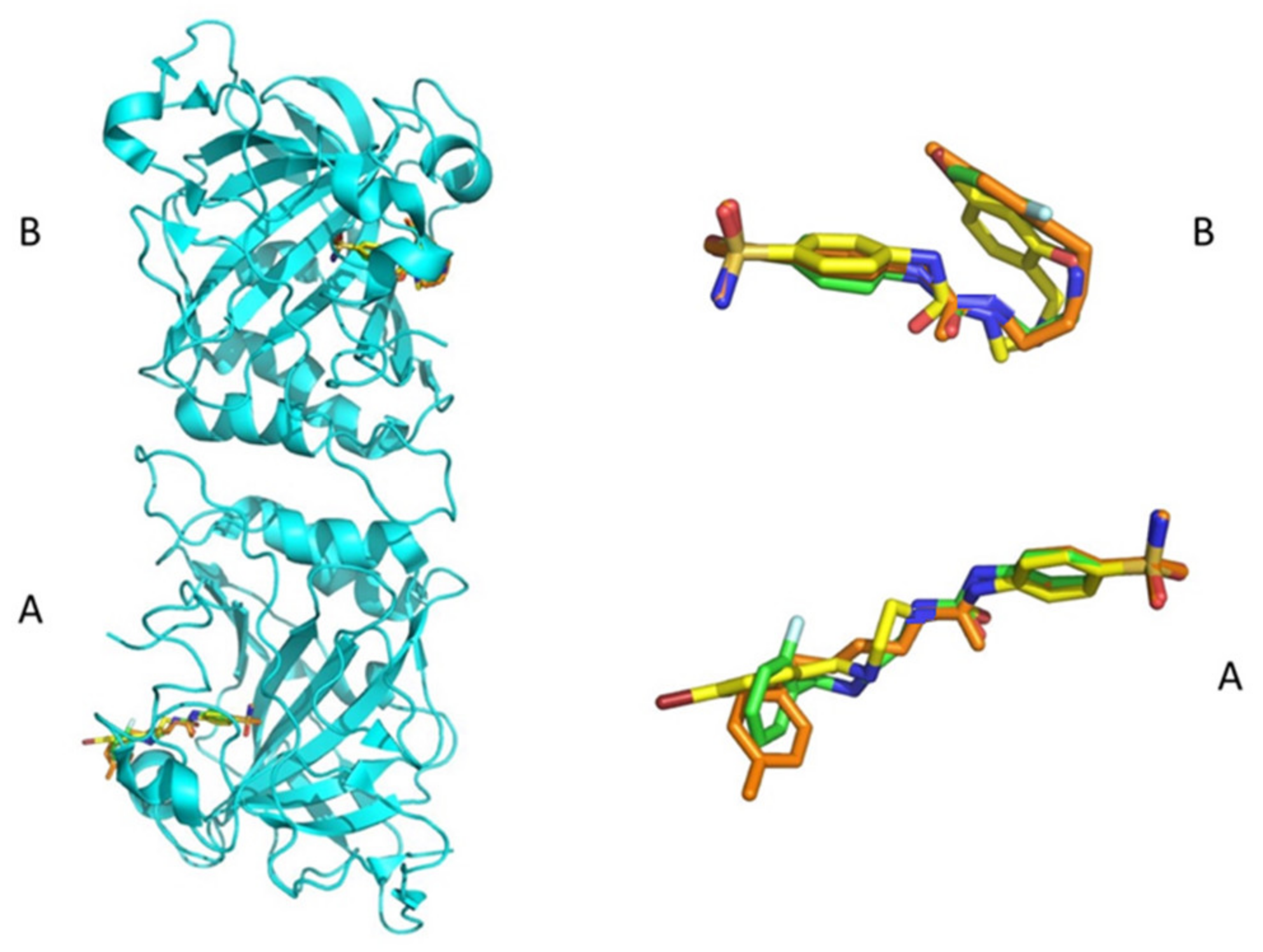 Ijms 21 02560 g003 Ijms 21 02560 g003